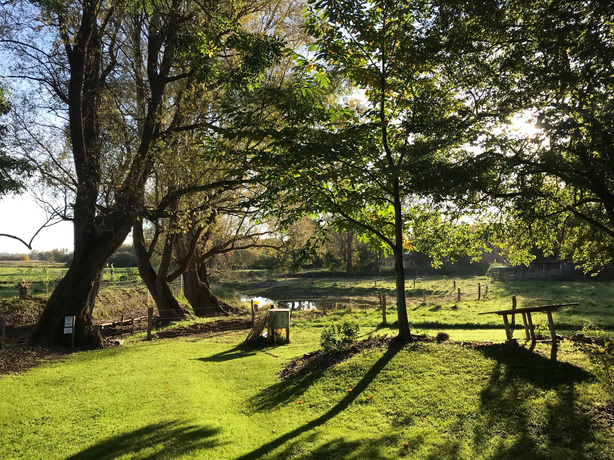 Fotoquelle: Bettina Linden