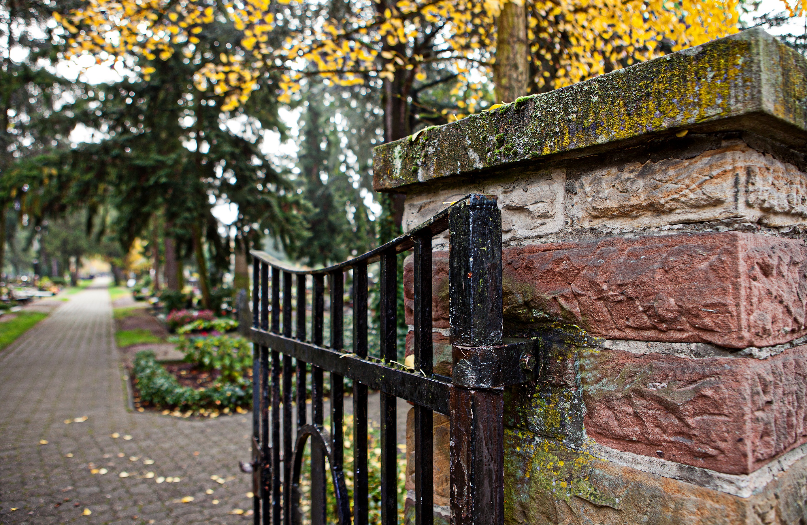 Fotoquelle: Stadt Germersheim/ Britta Hoff