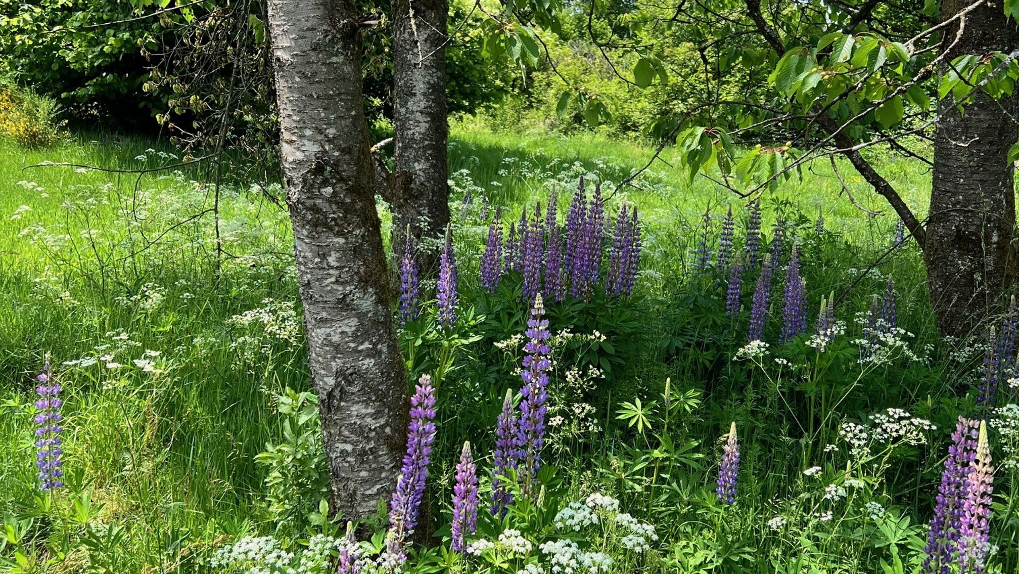 Fotoquelle: Sebastian Luke