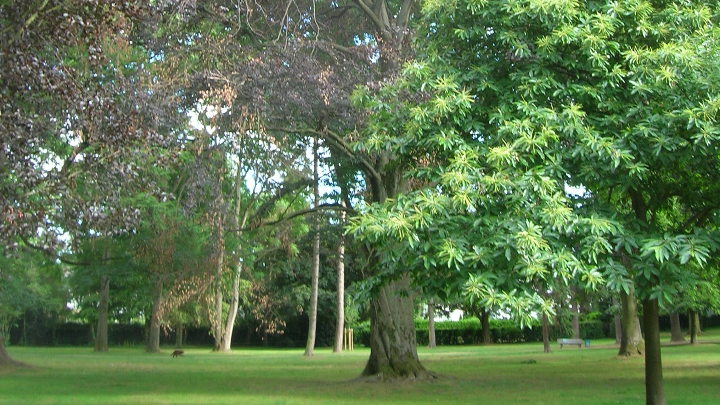 Fotoquelle: Andreas Theves, Aktion Baumwächter