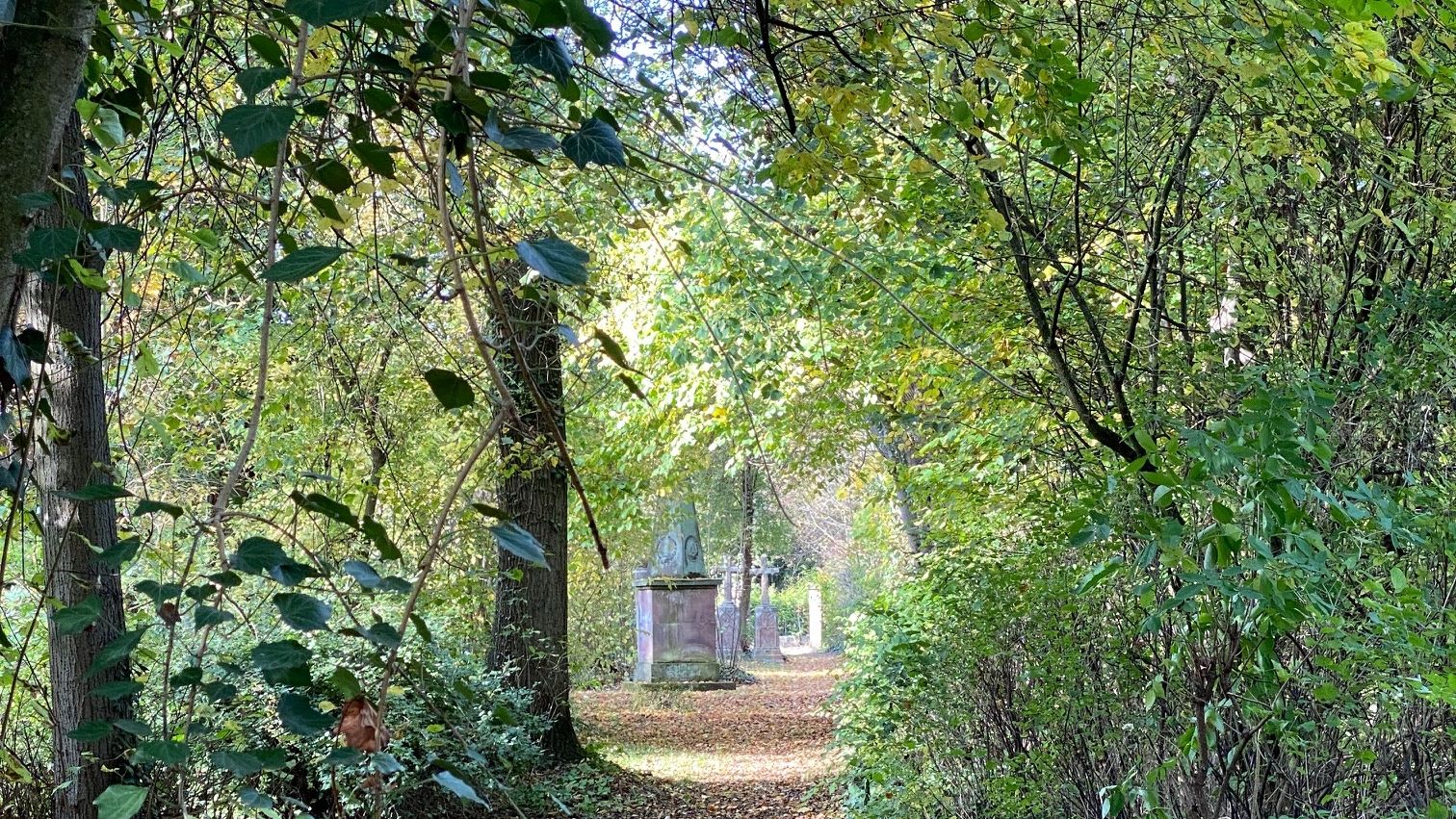 Fotoquelle: S. Gerdes