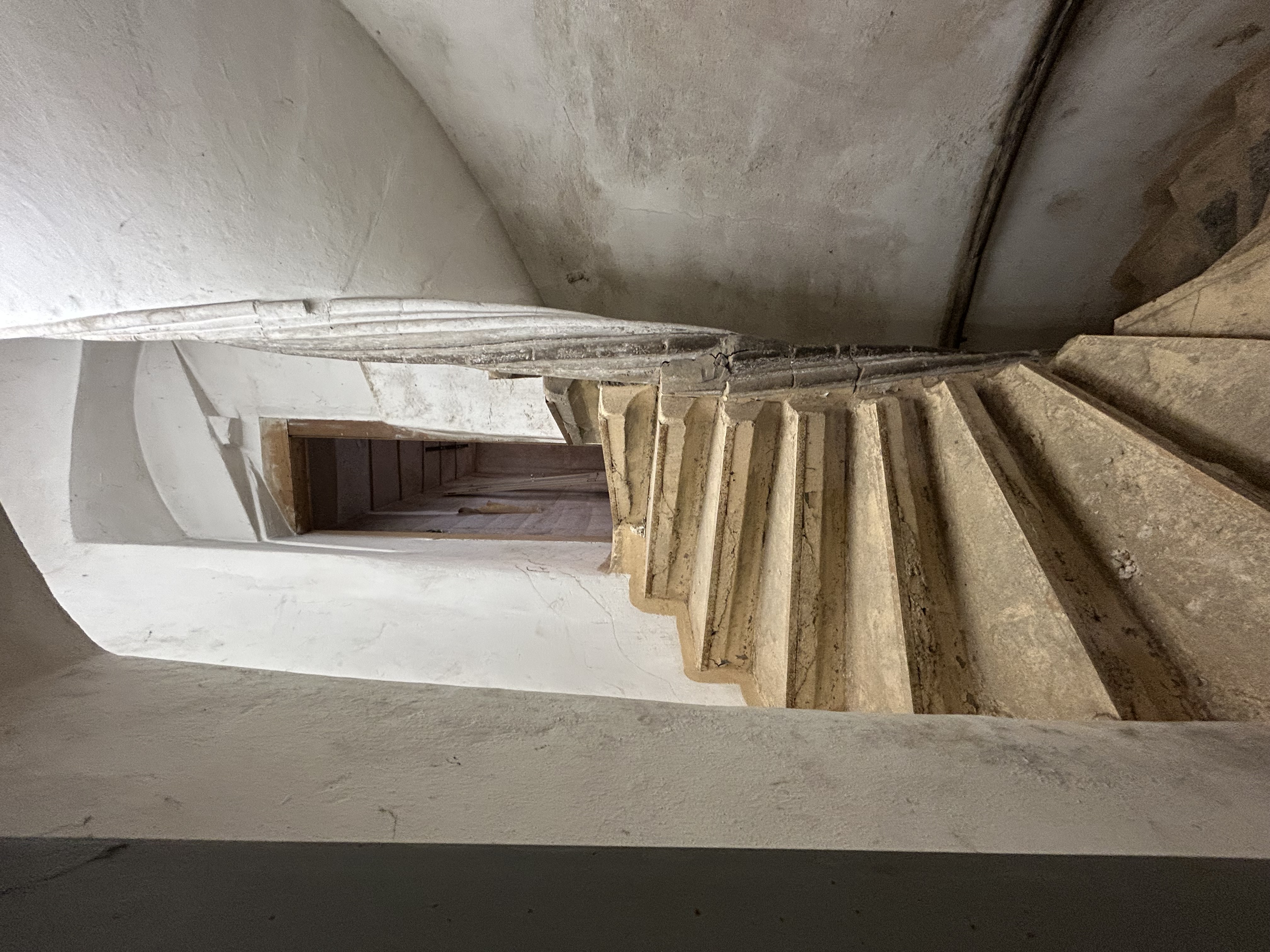 Fotoquelle: Neele Blank