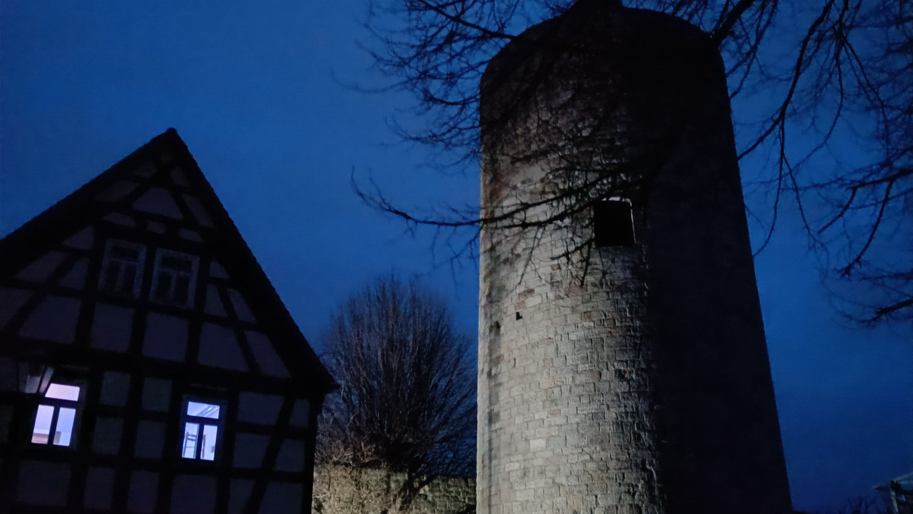 Fotoquelle: Roy Nimmoth