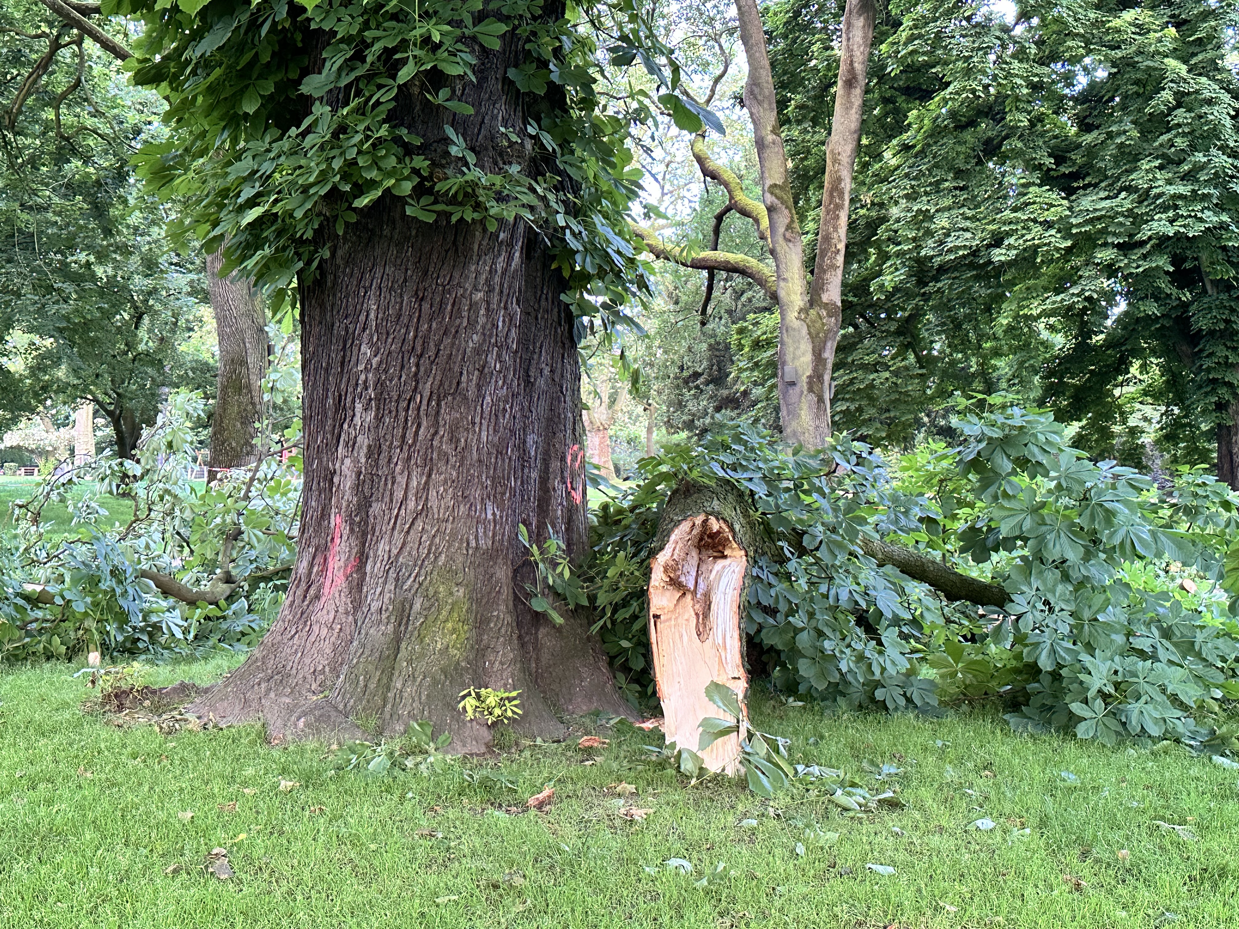 Fotoquelle: Iris Pinkepank