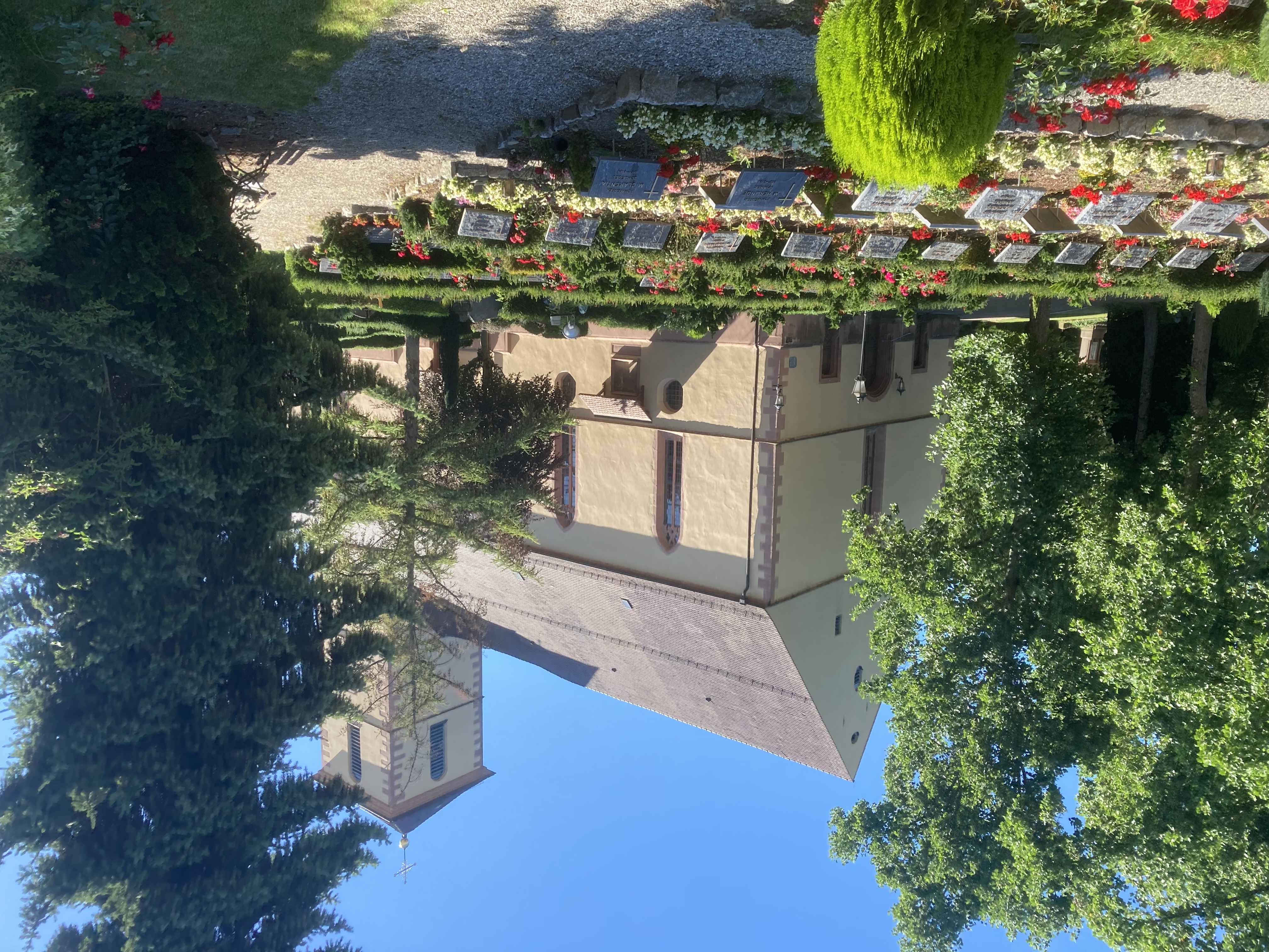 Fotoquelle: Thomas Guckes-Storz