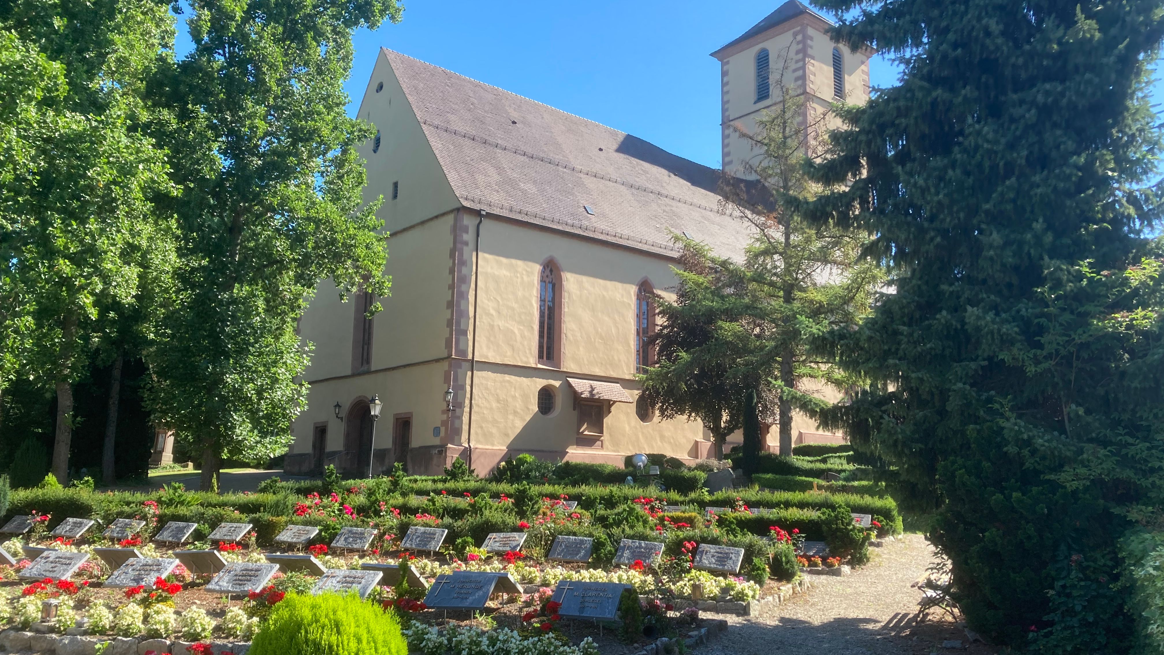 Fotoquelle: Thomas Guckes-Storz