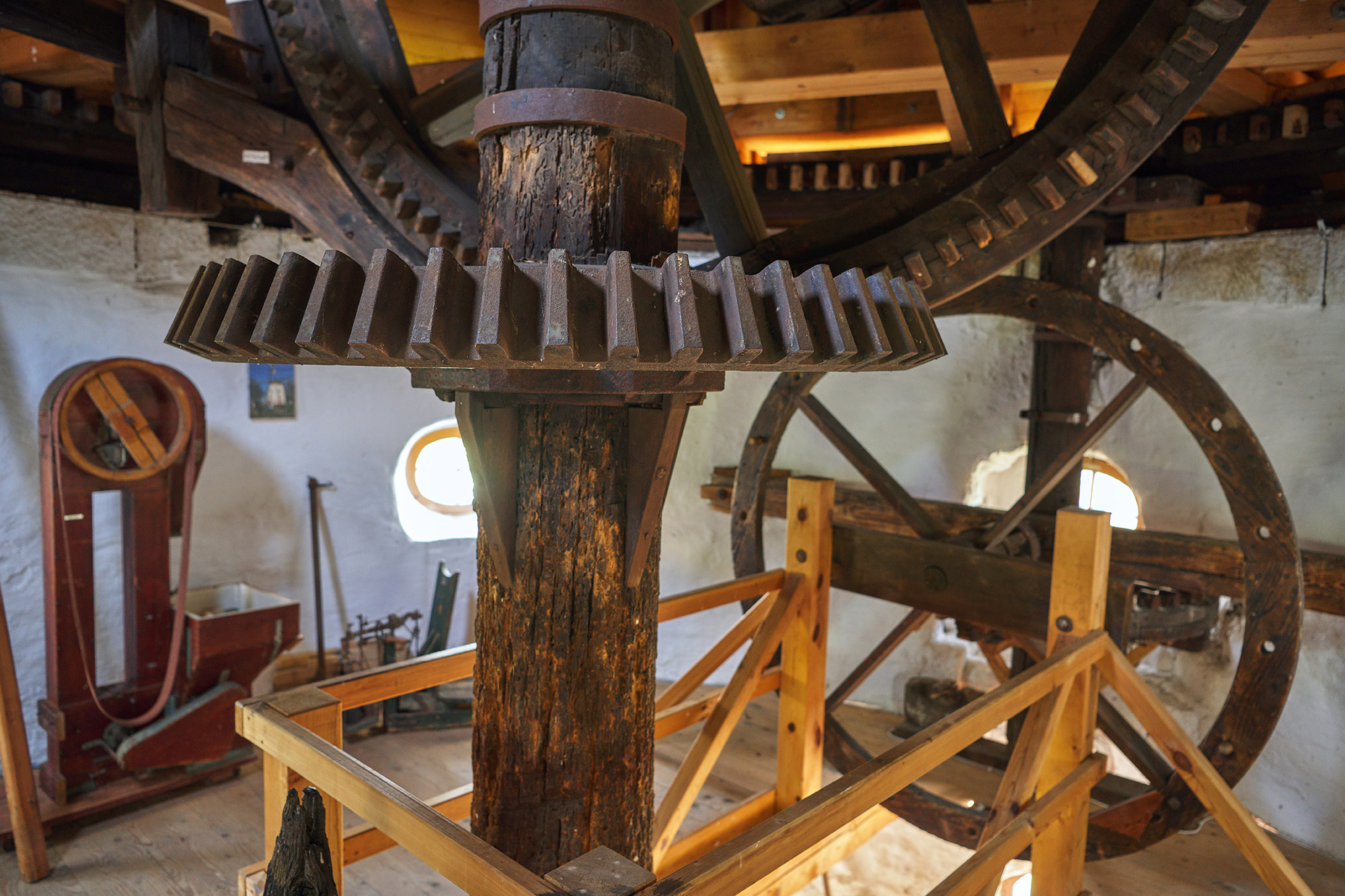 Fotoquelle: Thomas Lein