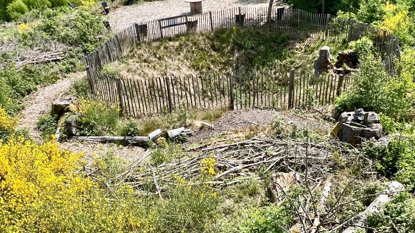 Fotoquelle: Sebastian Luke