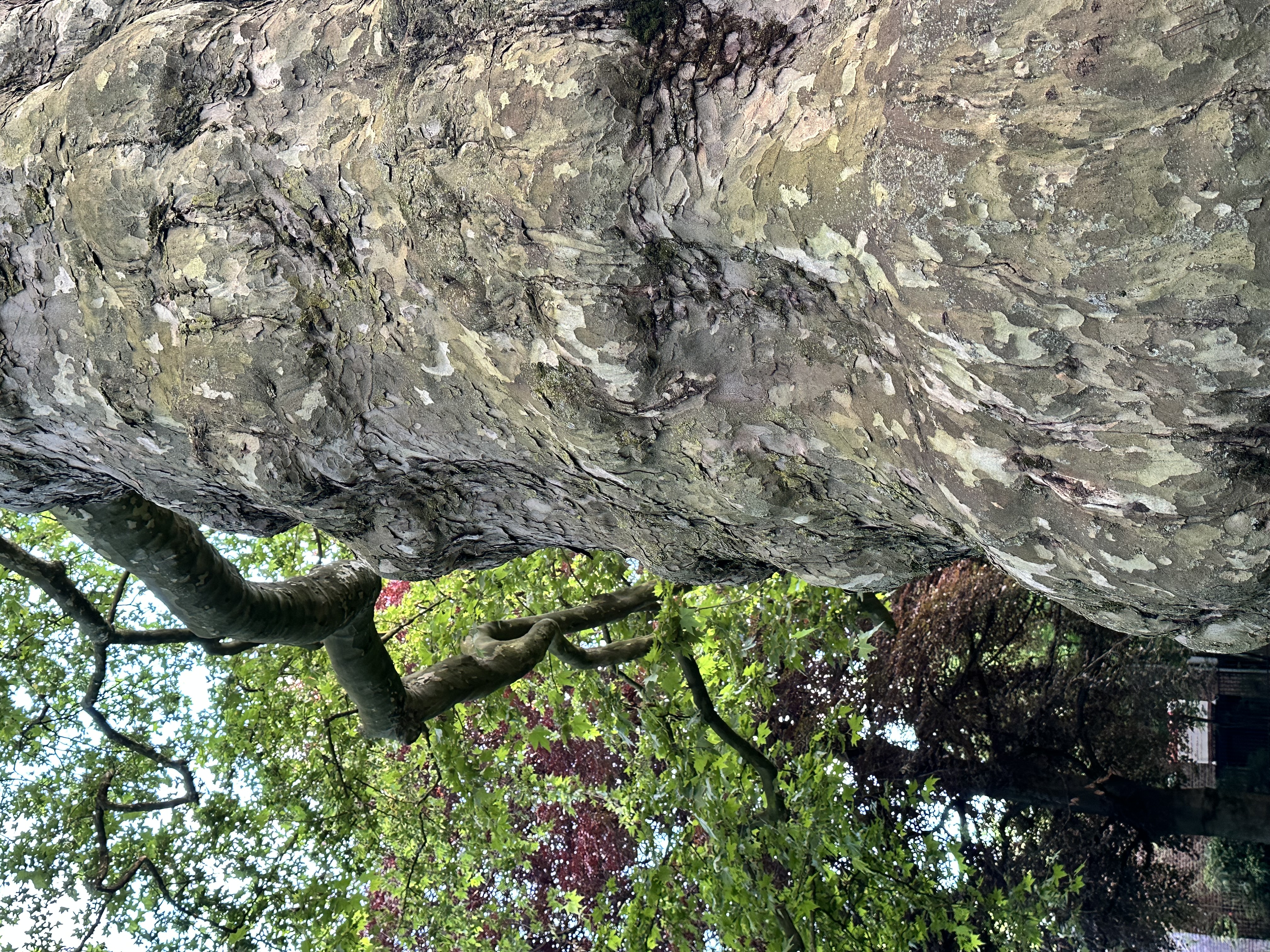 Fotoquelle: Iris Pinkepank