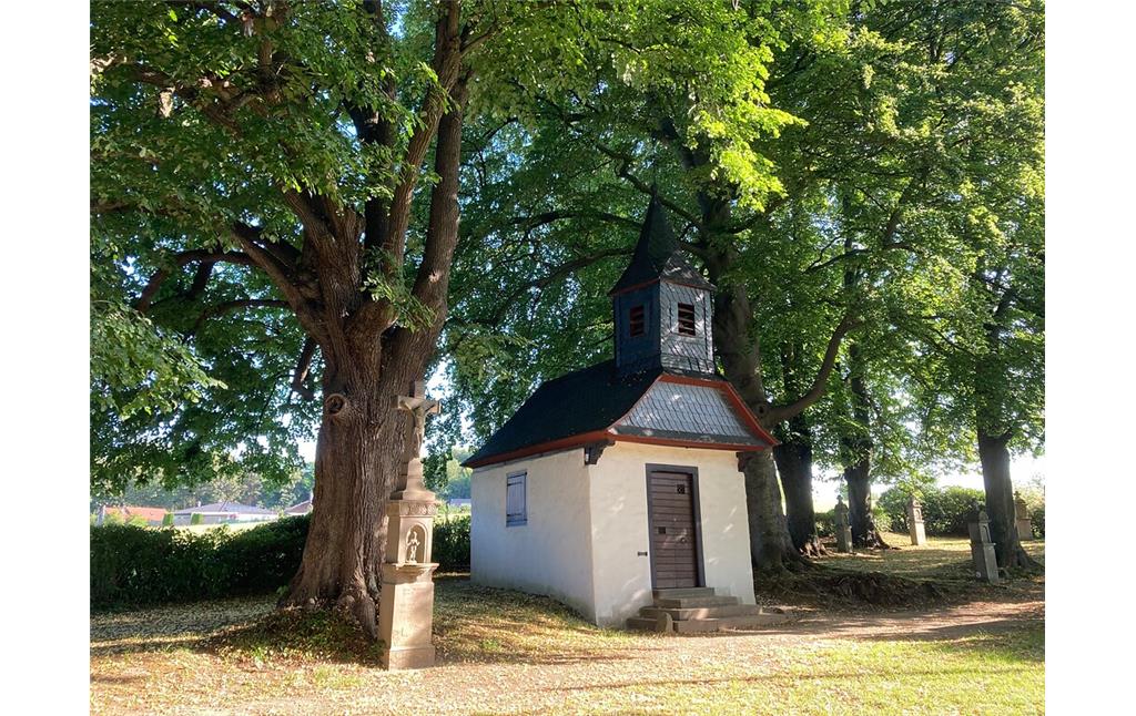 Fotoquelle: Jan Spiegelberg Biostation RheinBerg