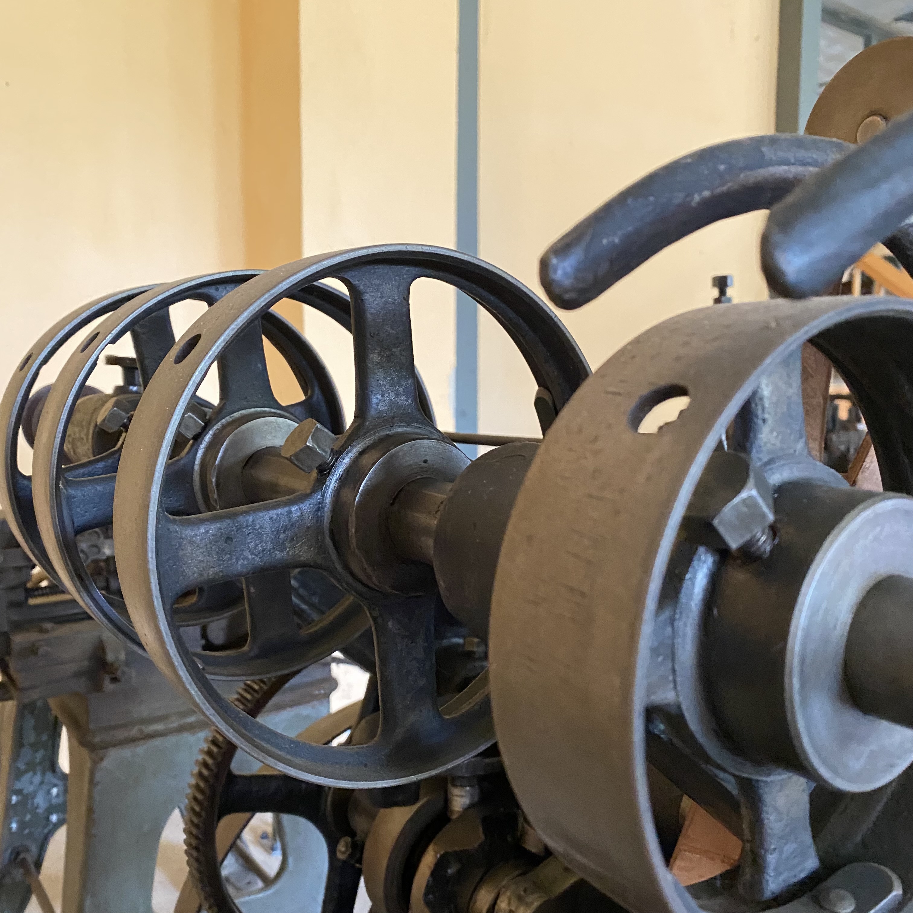 Fotoquelle: Petra Neumann