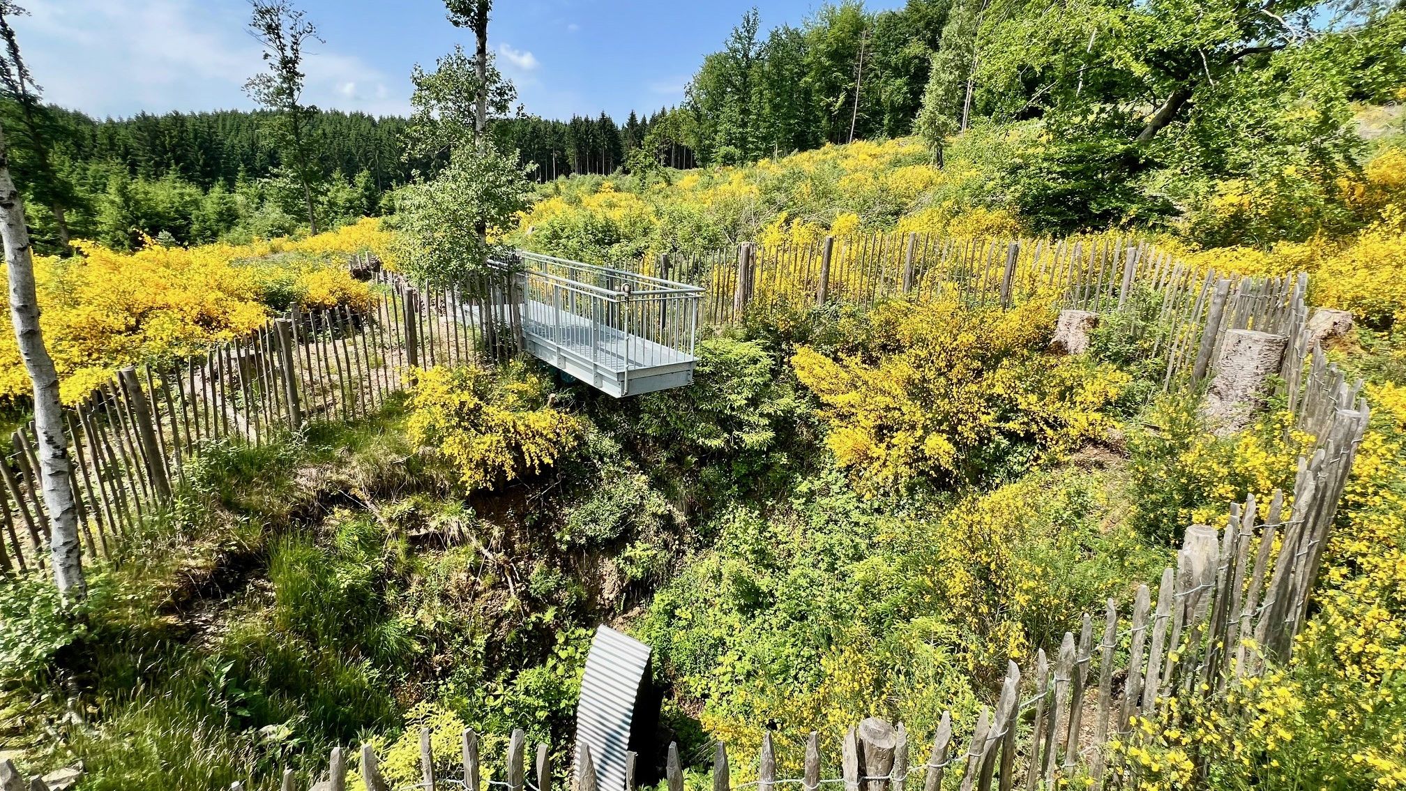 Fotoquelle: Sebastian Luke