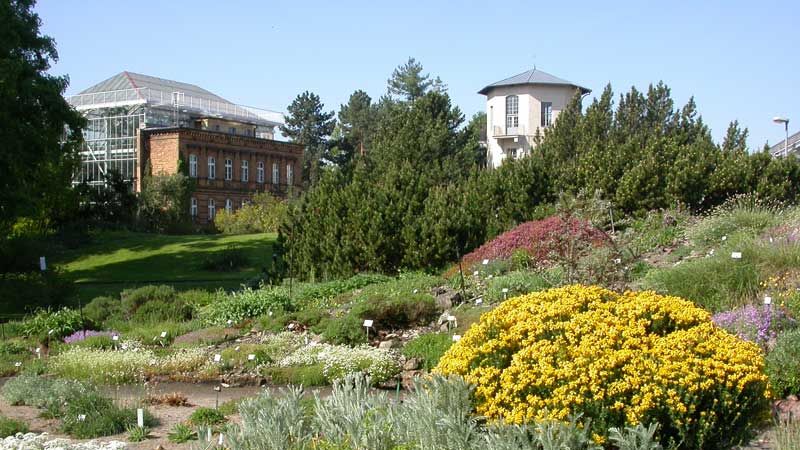 Fotoquelle: Matthias H. Hoffmann