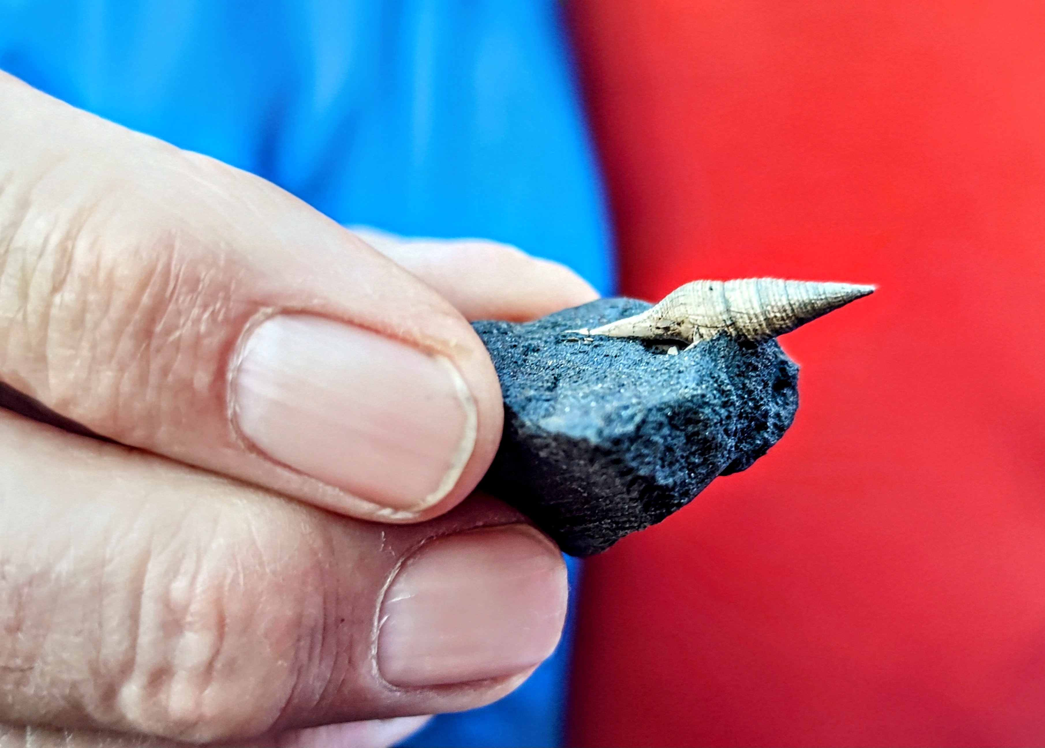 Fotoquelle: Silke Perin