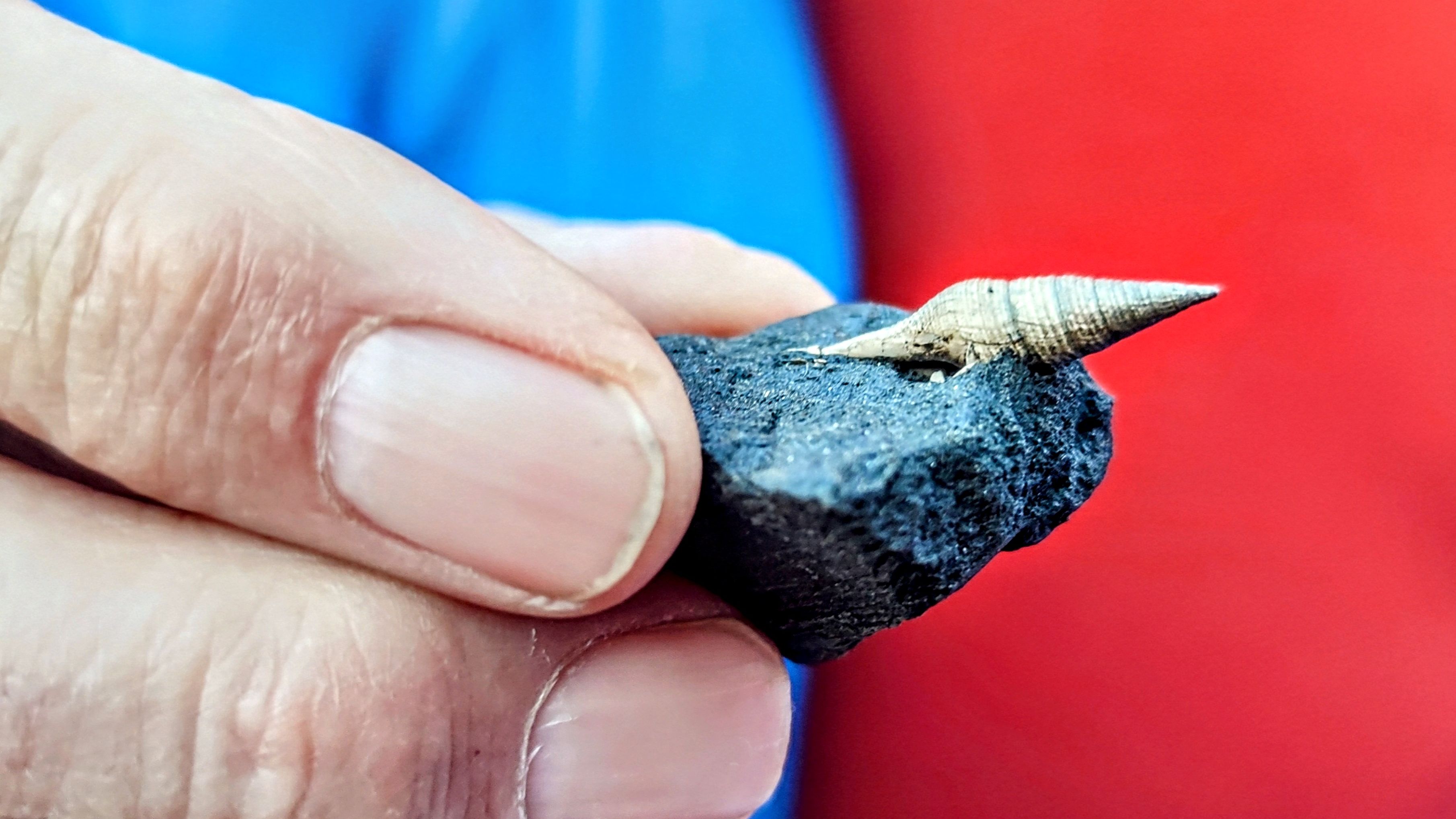 Fotoquelle: Silke Perin