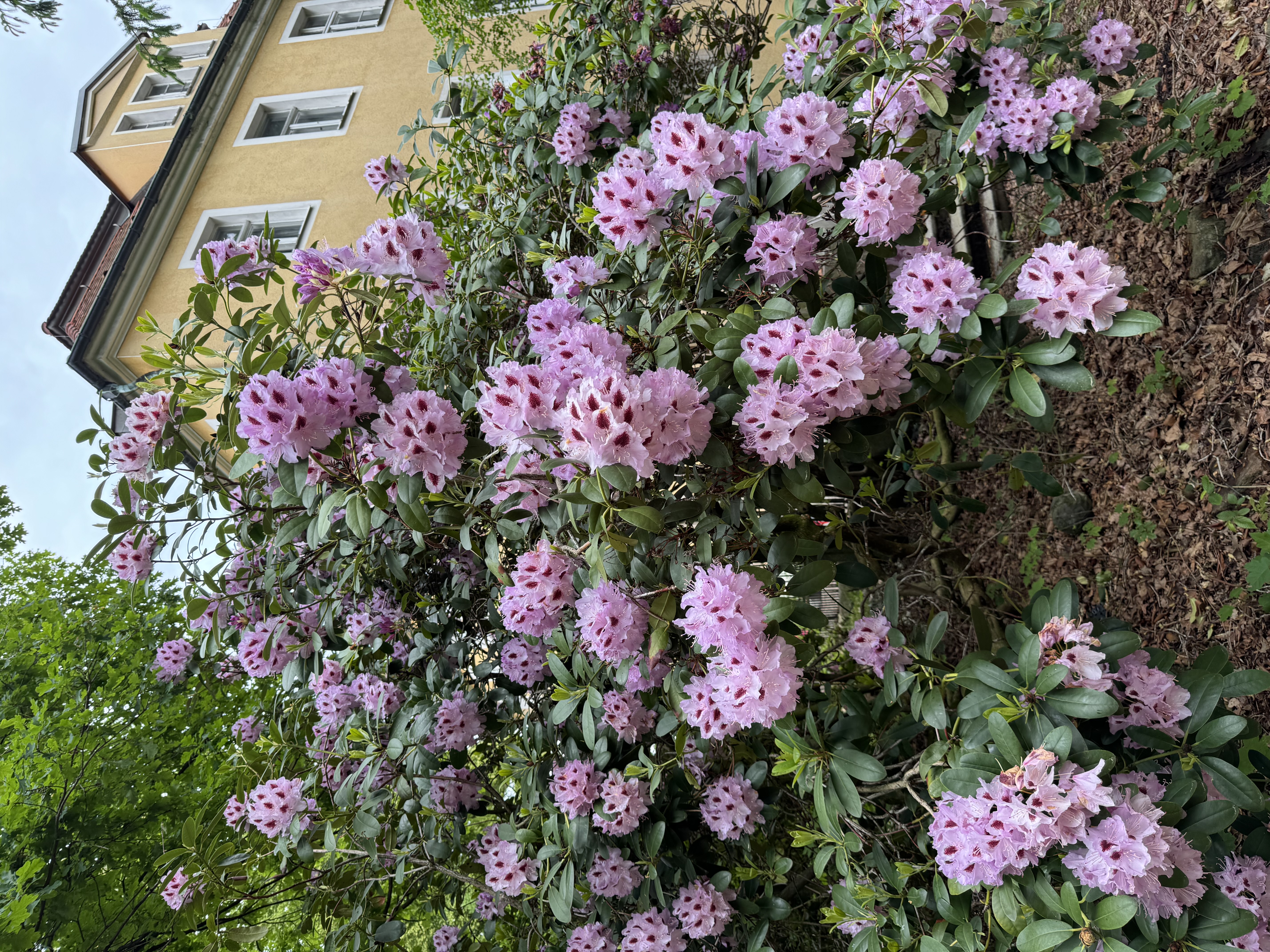 Fotoquelle: Olaf Kramer