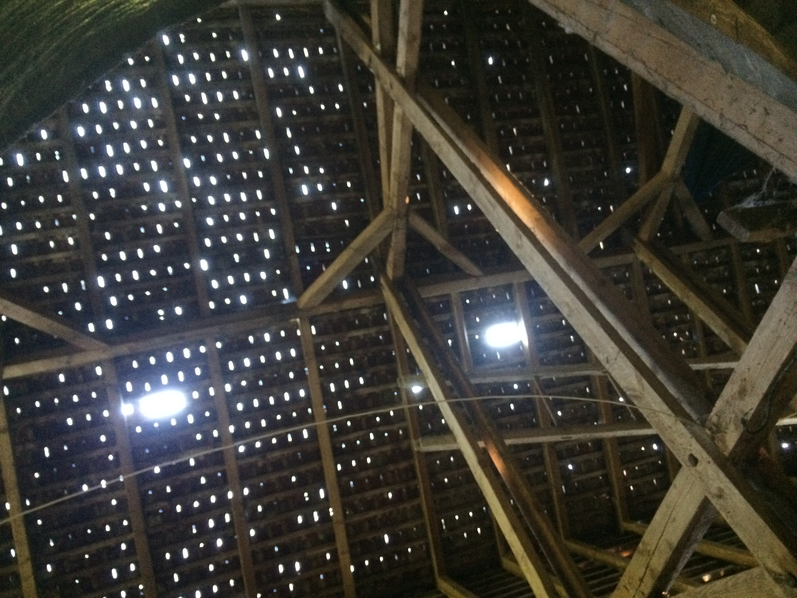 Fotoquelle: Gabriela Domnig