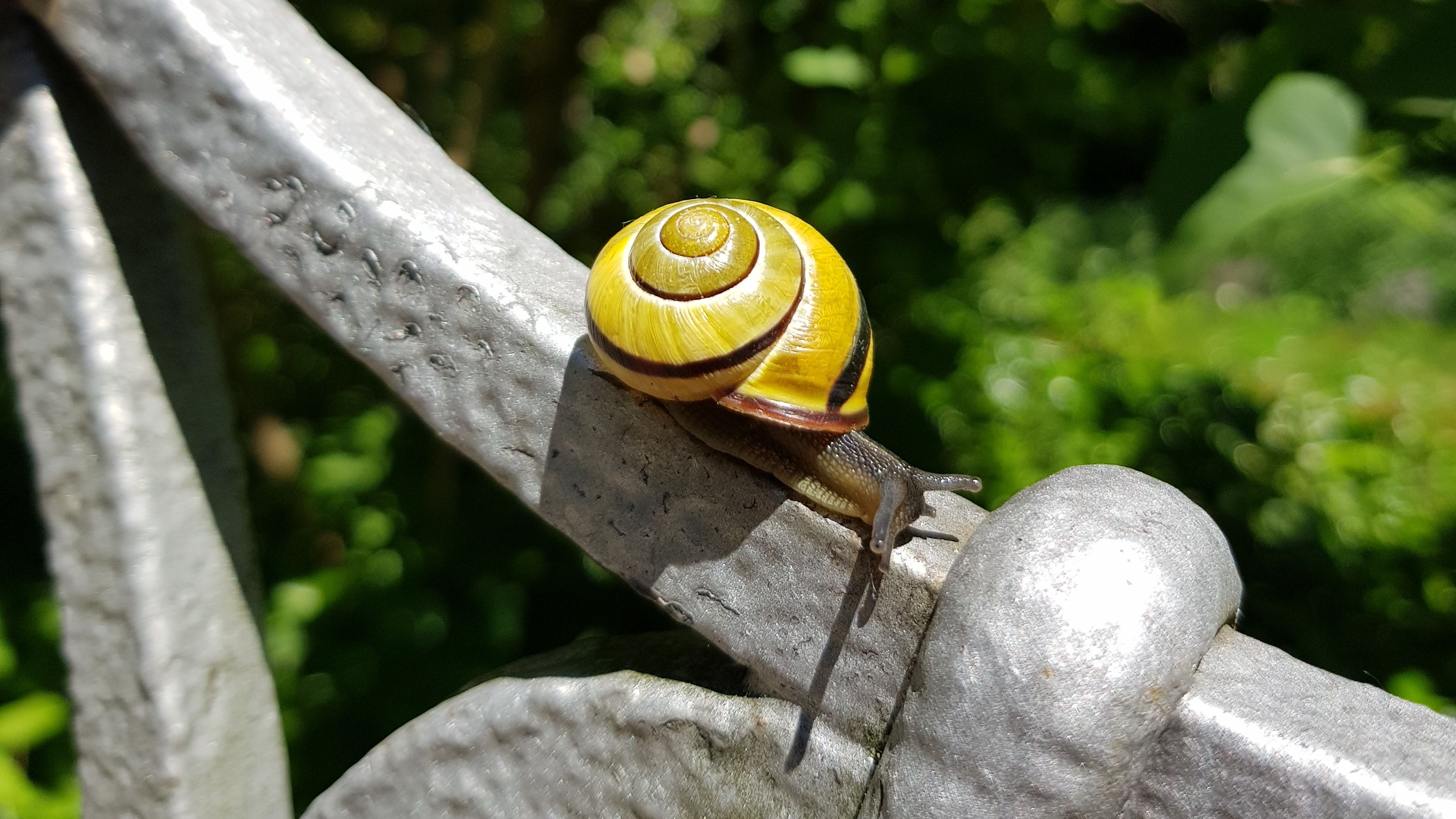 Fotoquelle: Ute Woite