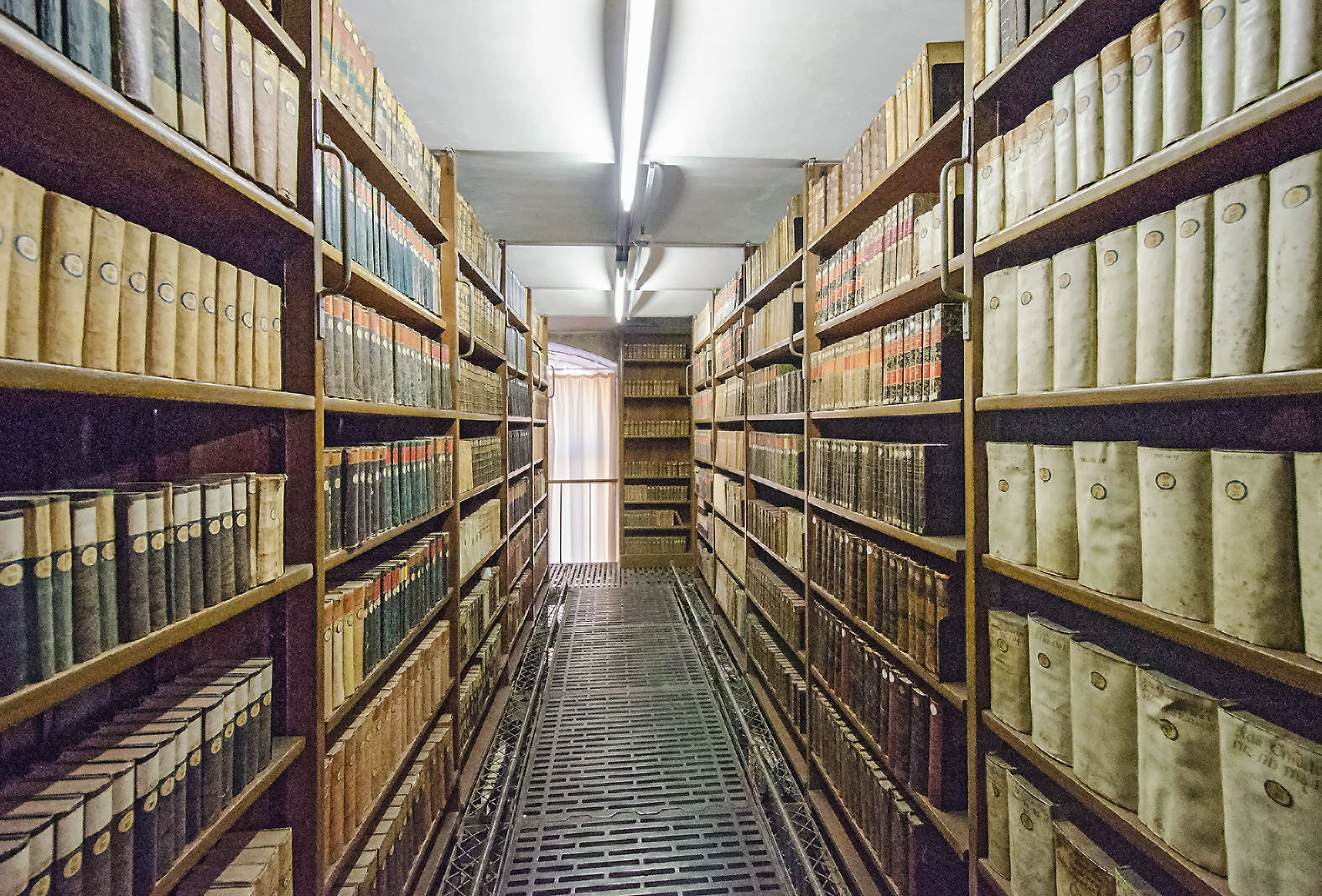 Fotoquelle: Universität Greifswald, Pressestelle