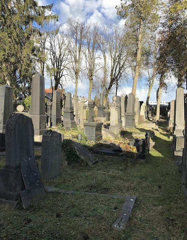 Fotoquelle: Iris Gedig