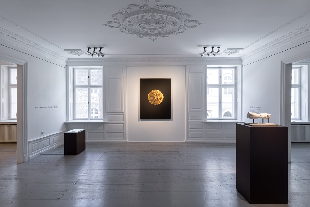 Fotoquelle: Foto Hanne Brandt, © Polnisches Institut Düsseldorf