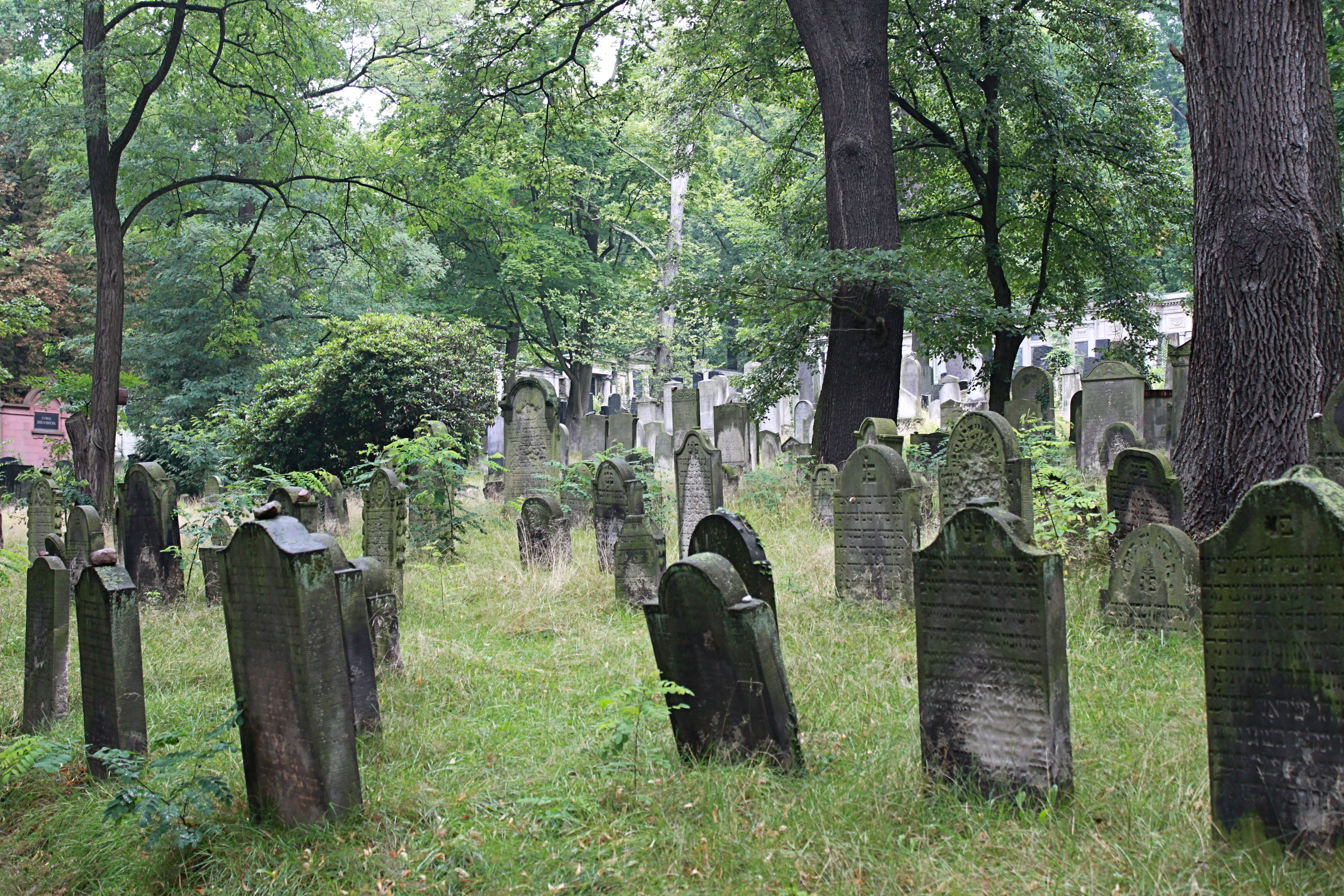 Fotoquelle: Anke Geißler-Grünberg