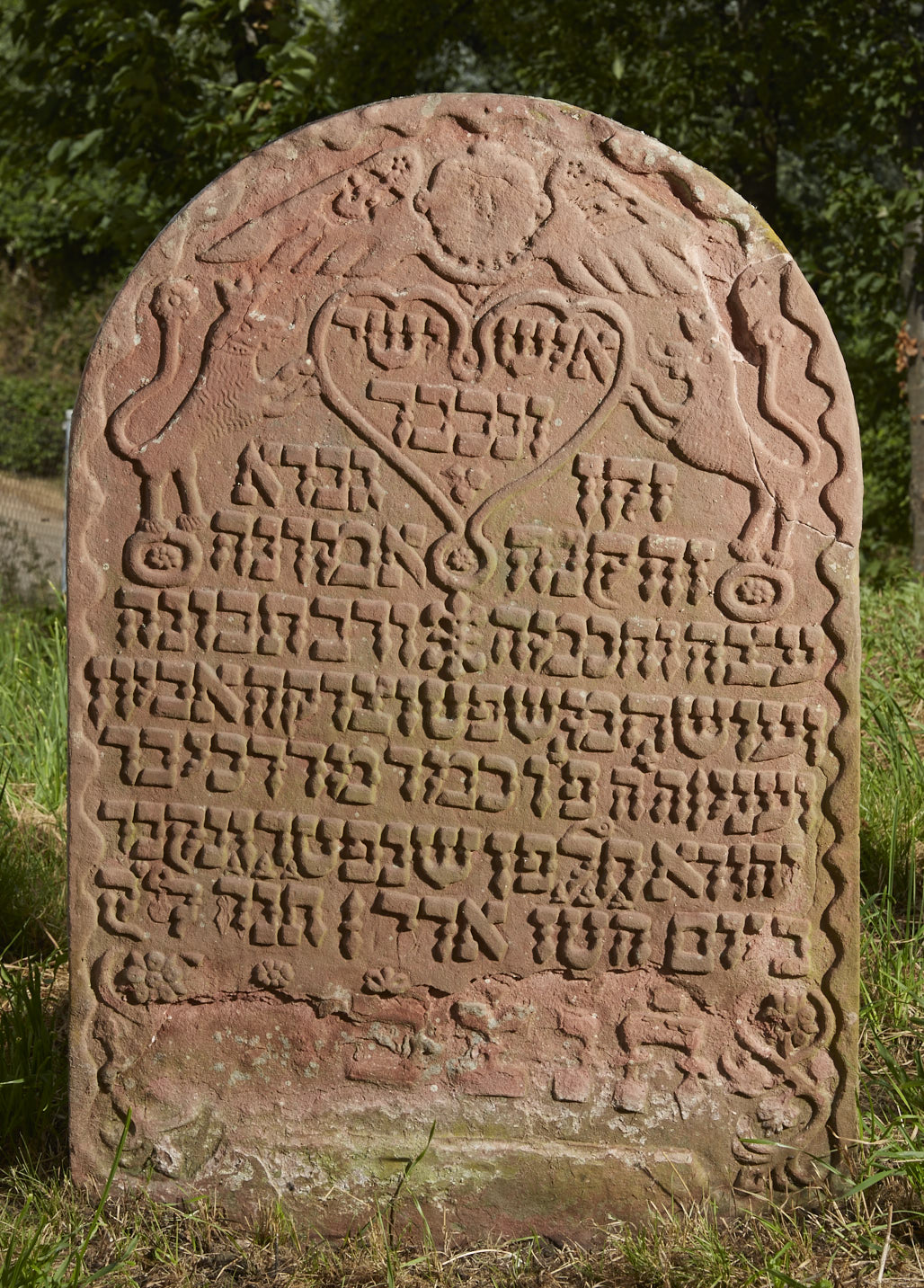 Fotoquelle: Michael Weis