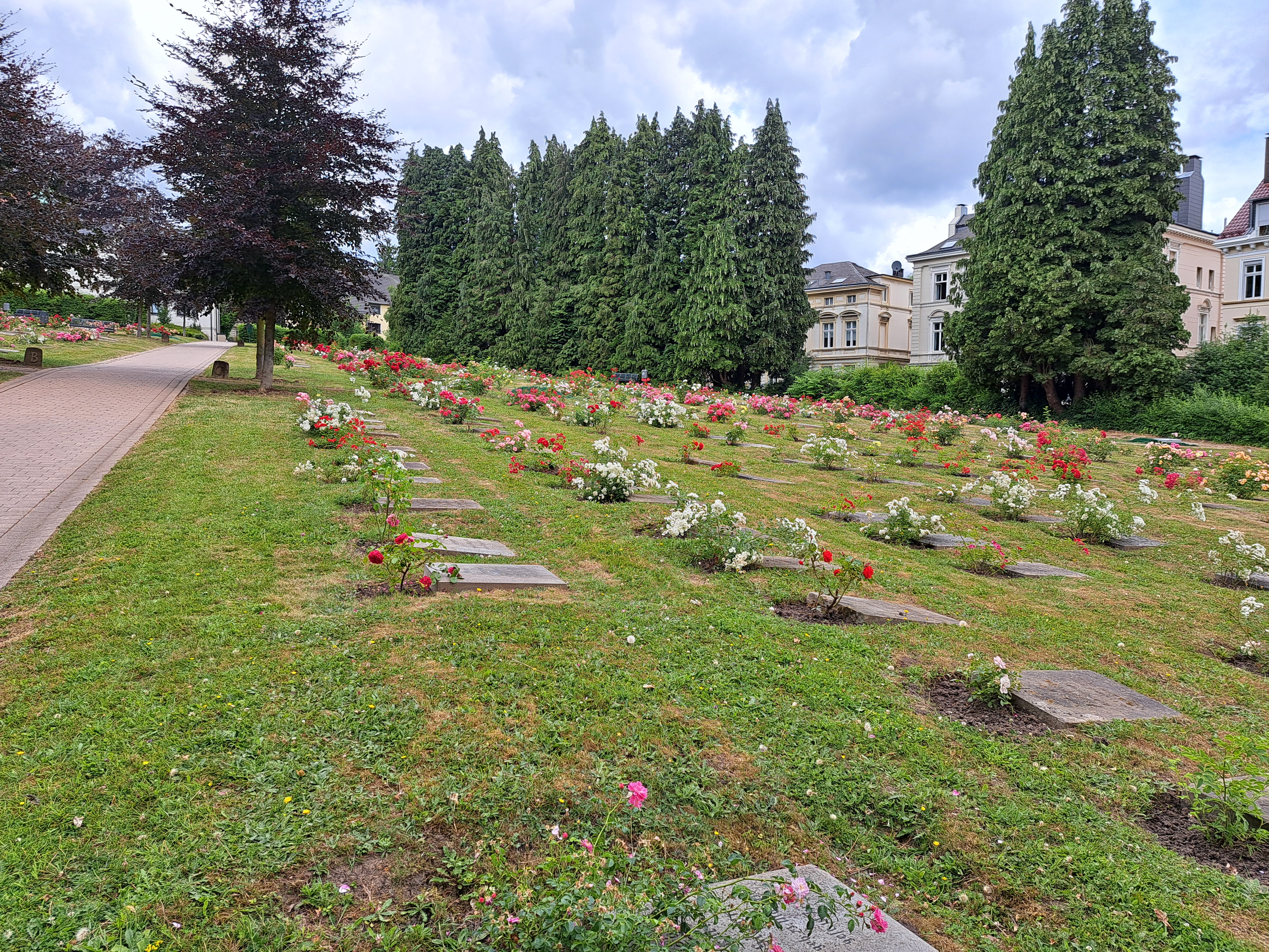 Fotoquelle: Gudrun Stengel