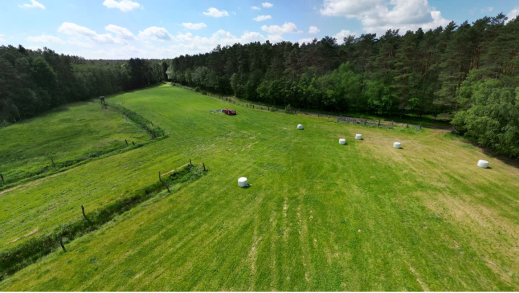 Fotoquelle: L. Luick, Universität Hamburg, Inst. für Ur- und Frühgeschichte