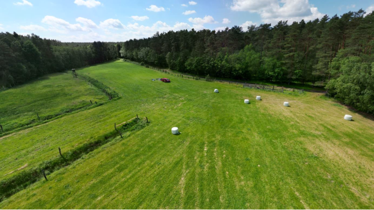 Fotoquelle: L. Luick, Universität Hamburg, Inst. für Ur- und Frühgeschichte