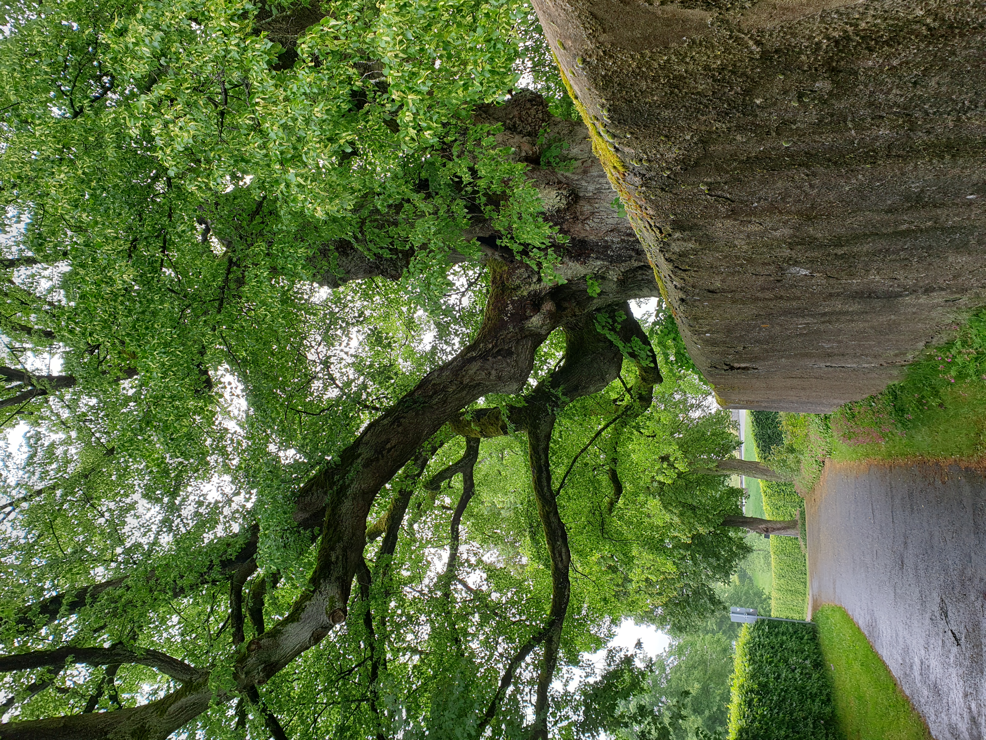 Fotoquelle: Ruxandra Gericke