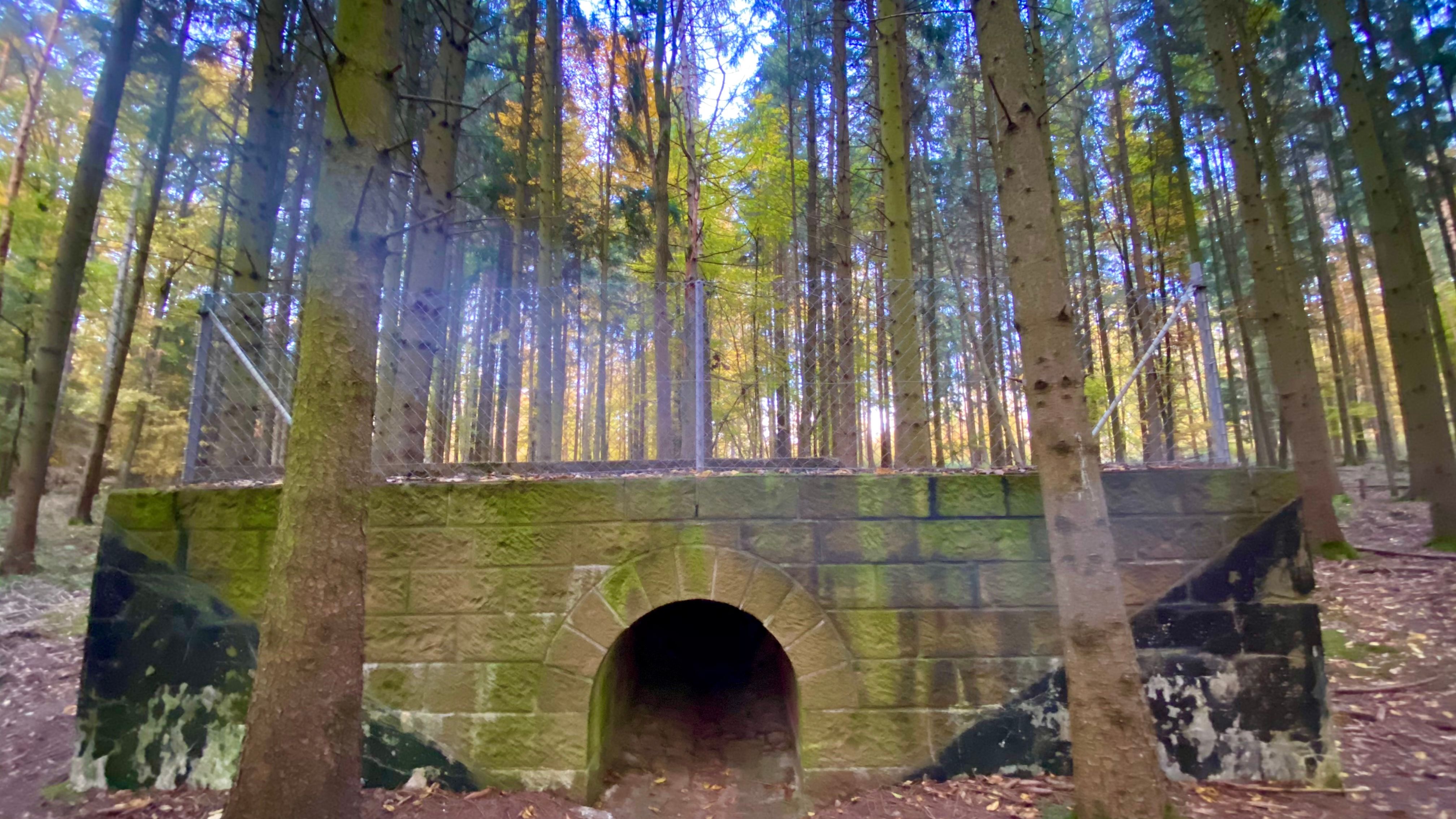 Fotoquelle: Jasna Blaic