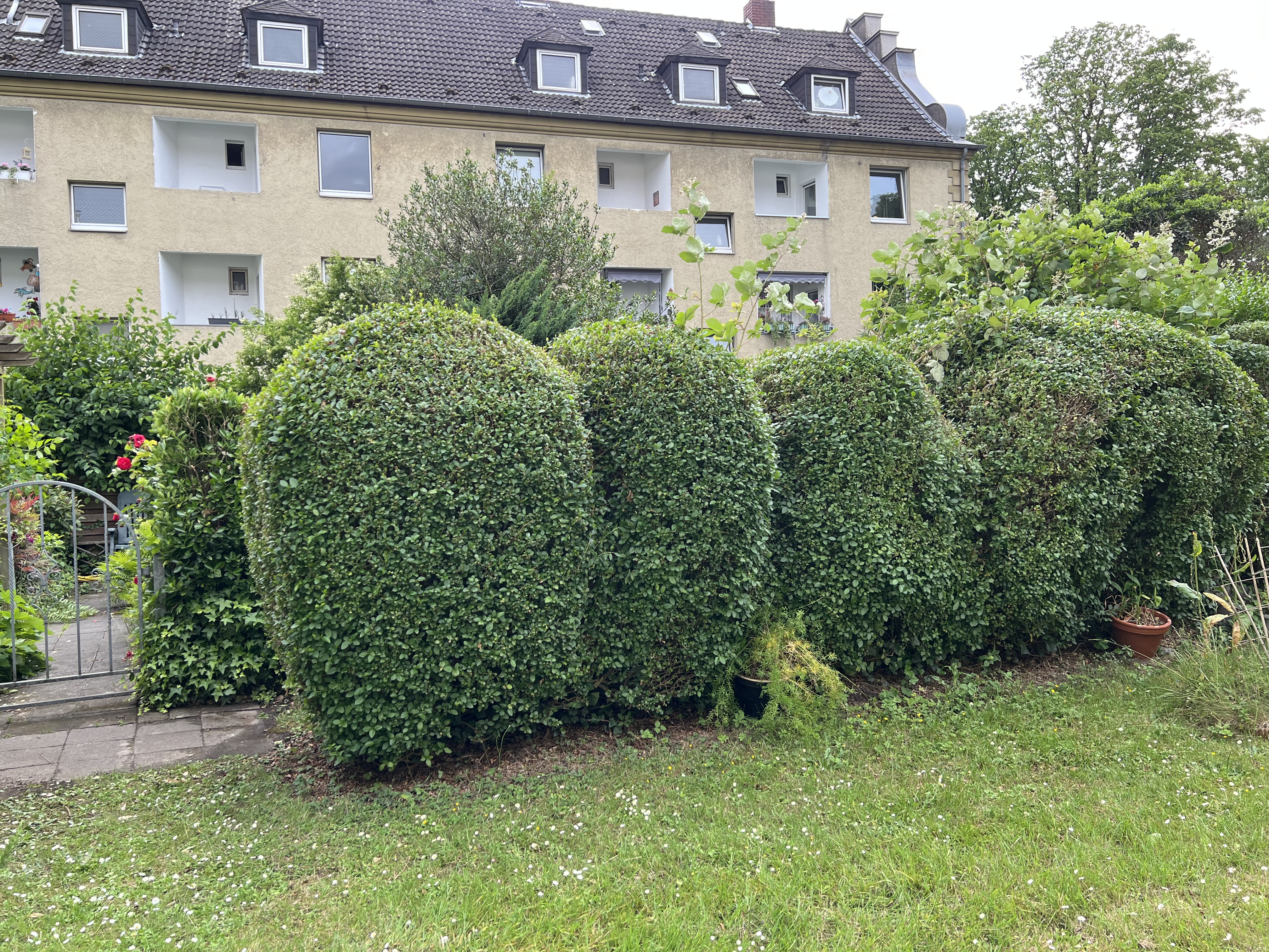 Fotoquelle: Stephen Reader