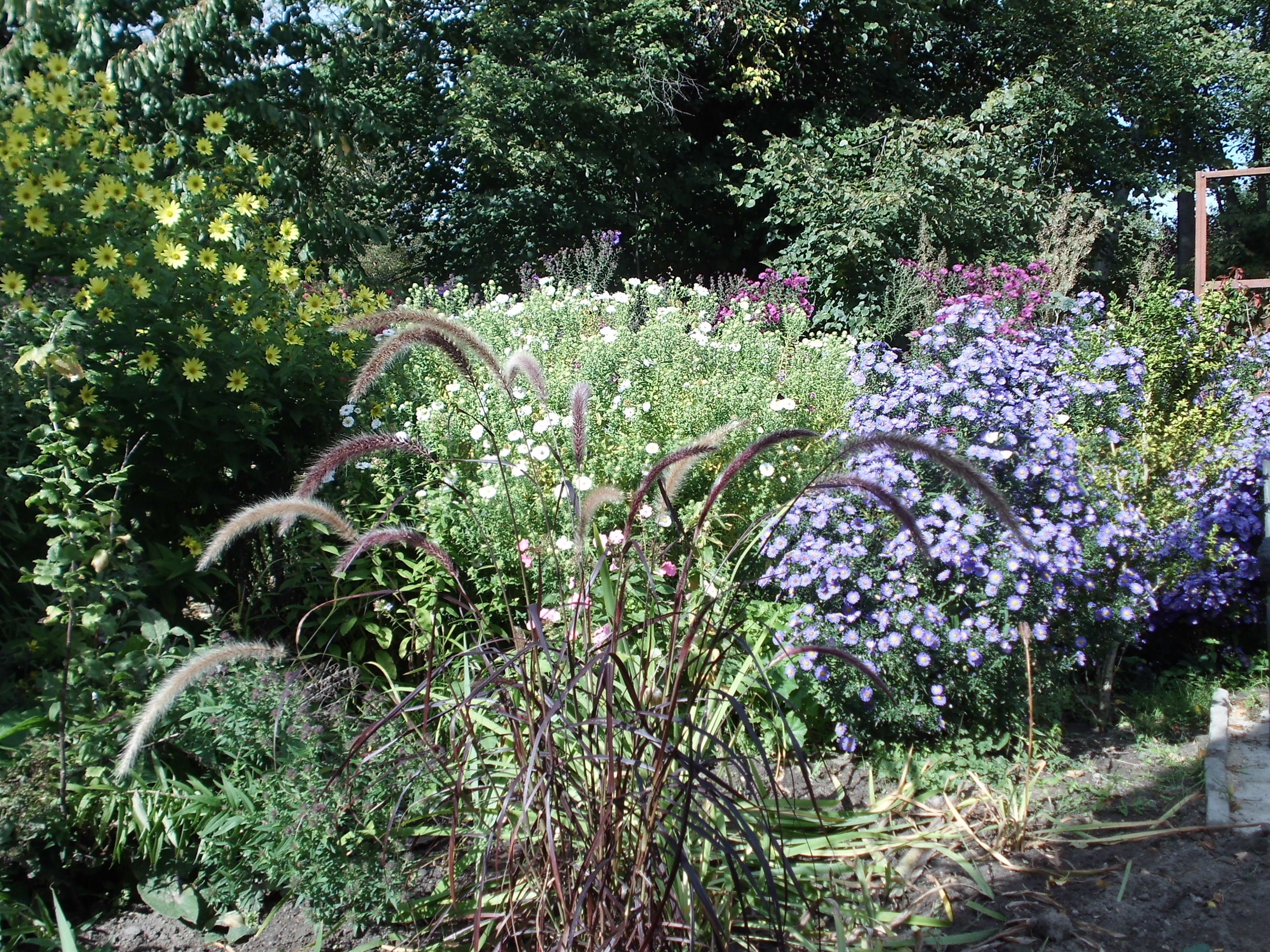 Fotoquelle: Treder-Schmidt