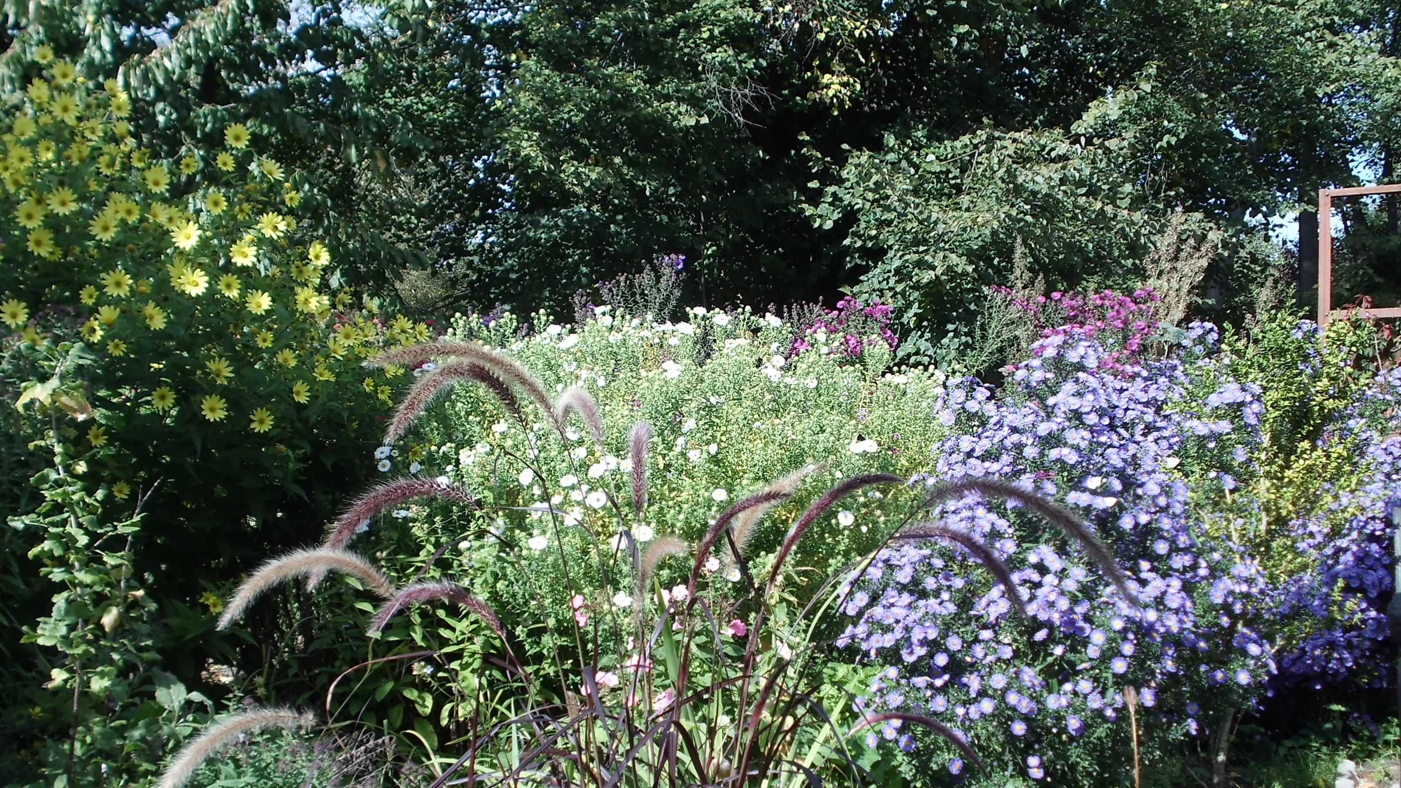 Fotoquelle: Treder-Schmidt