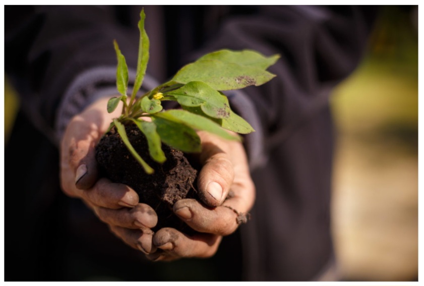 Fotoquelle: Striesener Friedhof / J. Tobis