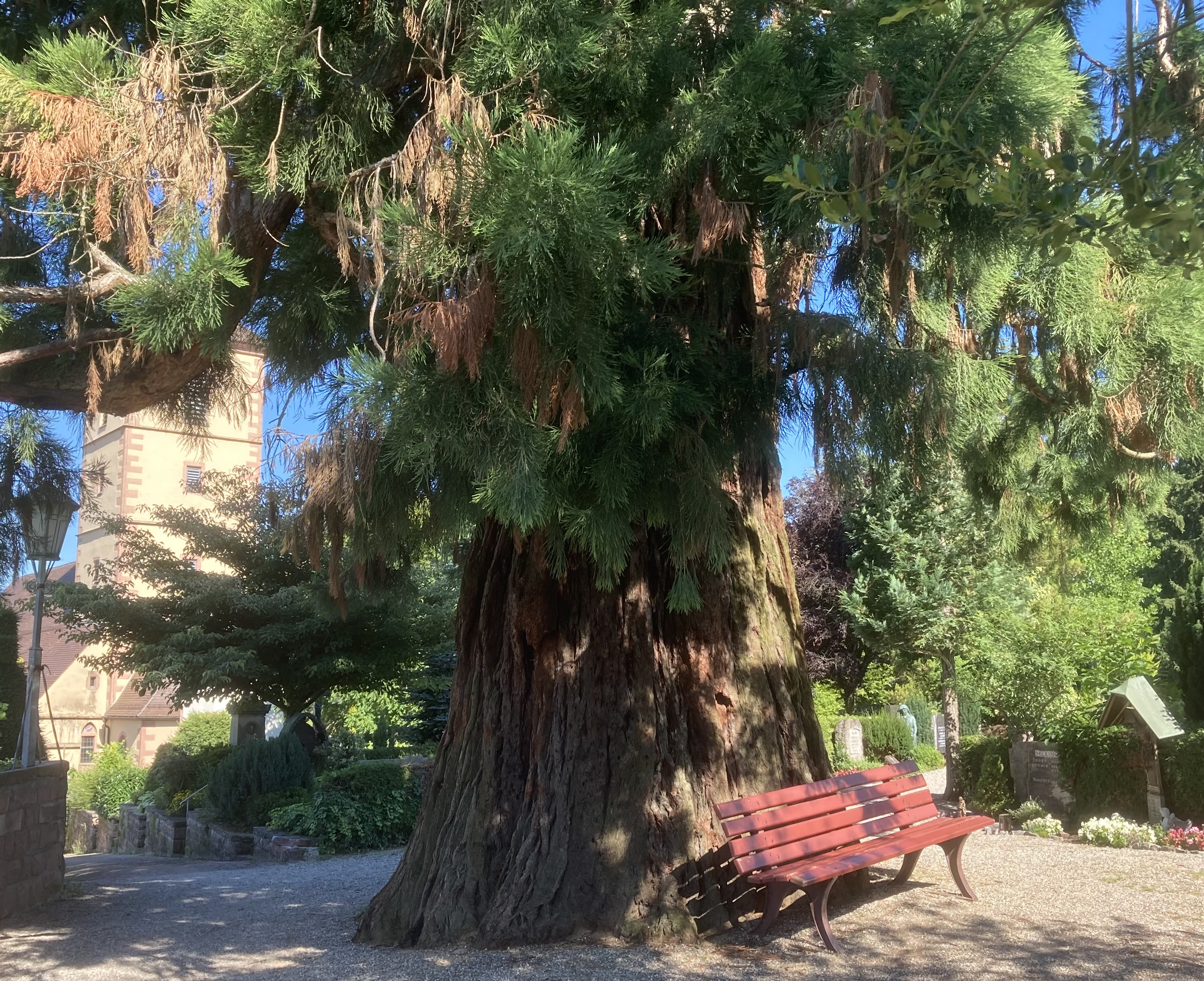 Fotoquelle: Thomas Guckes-Storz