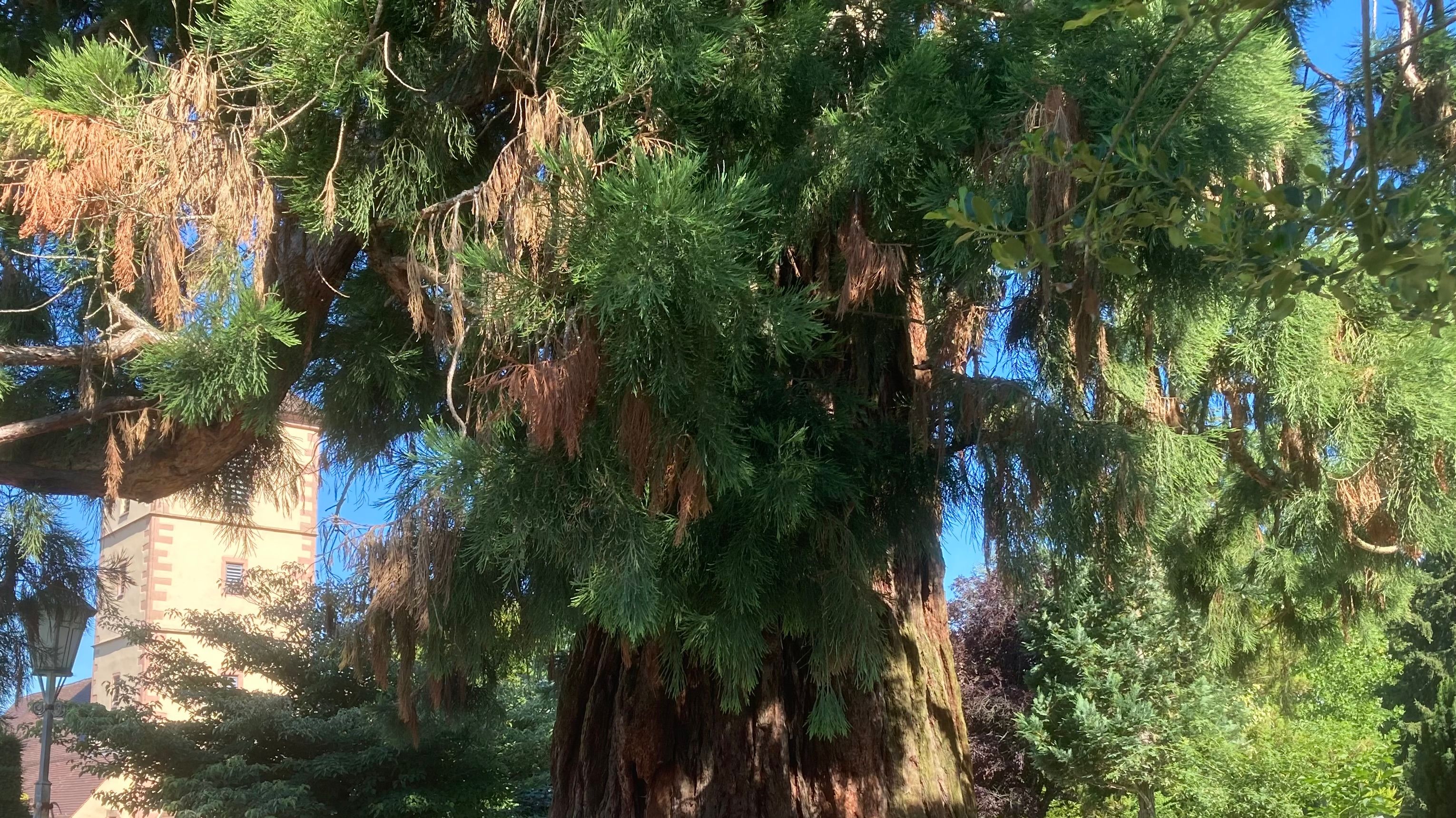 Fotoquelle: Thomas Guckes-Storz