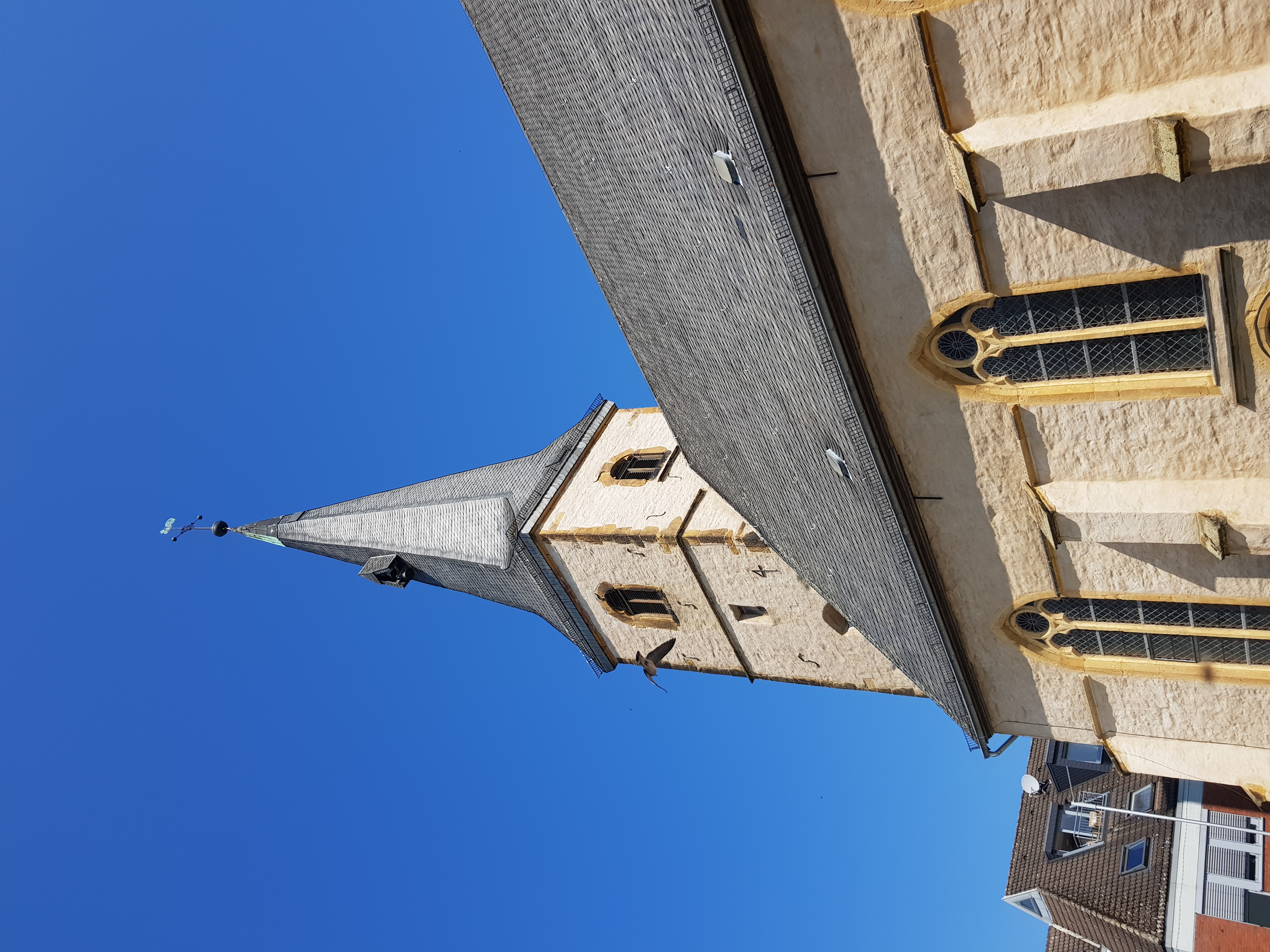 Fotoquelle: Birgit Strothenke