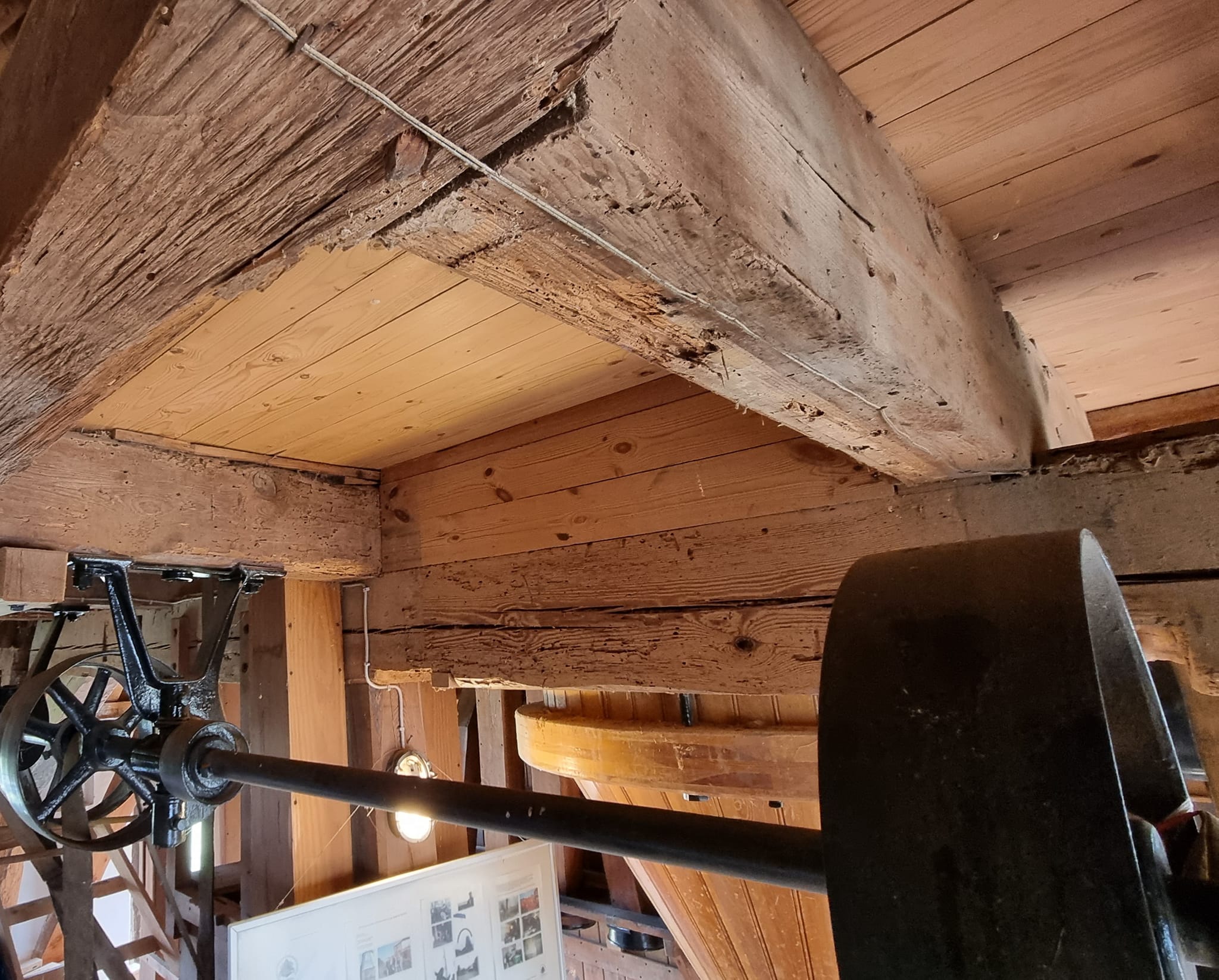 Fotoquelle: Yvette Below