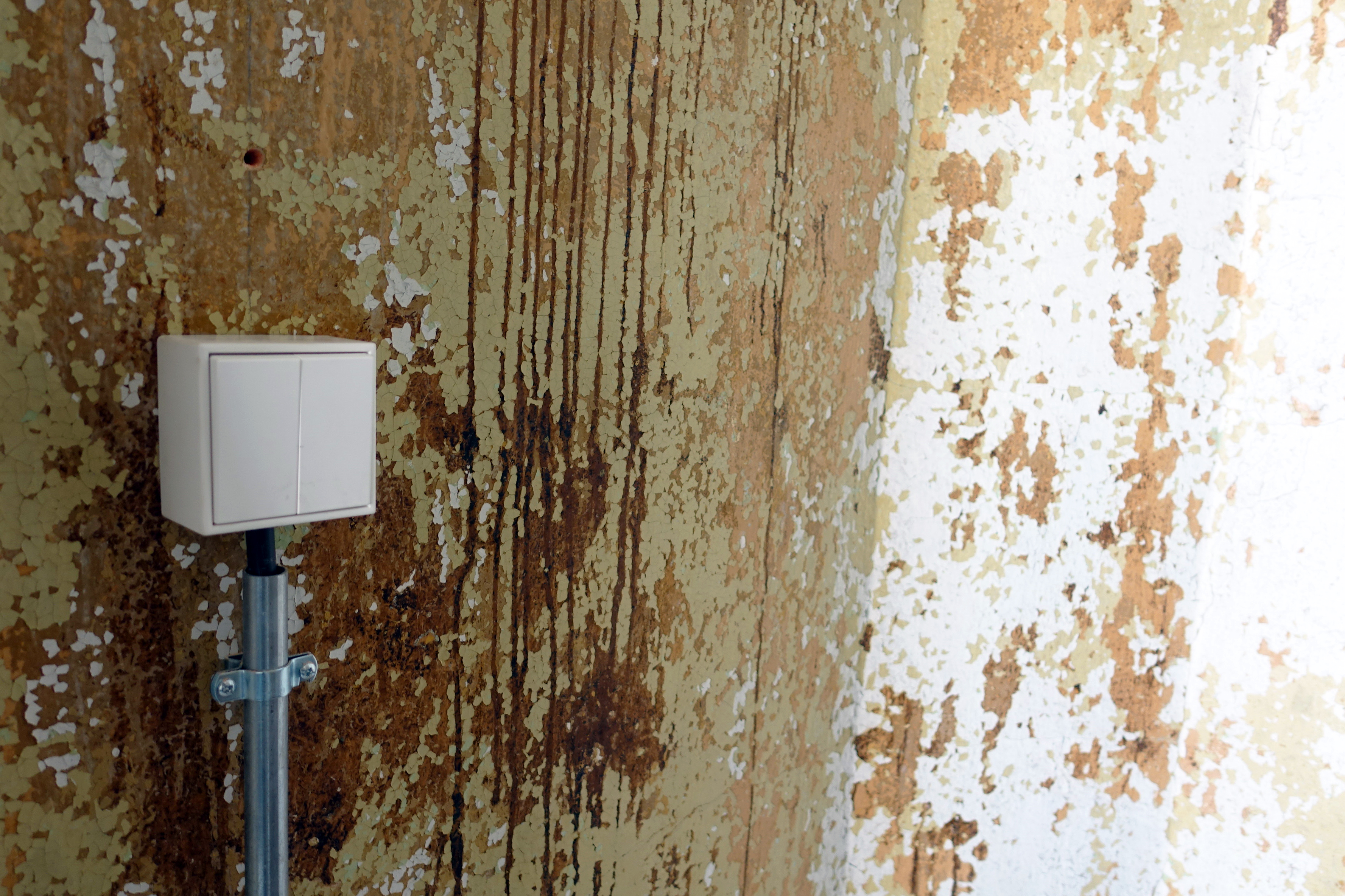 Fotoquelle: Tim Mahn