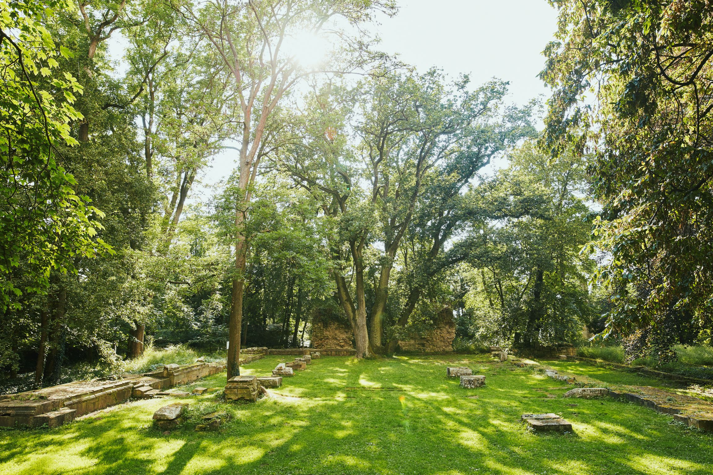 Fotoquelle: Peter Bender