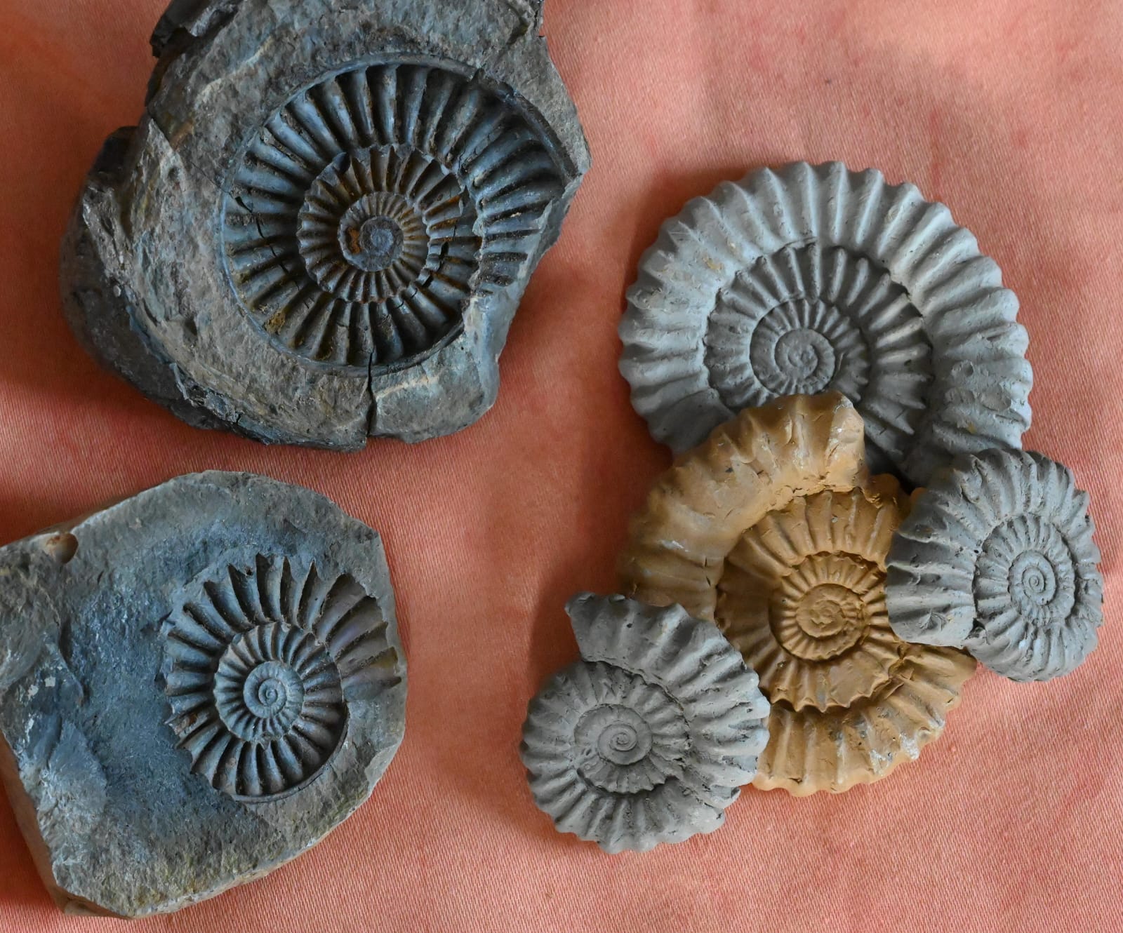 Fotoquelle: Heike Rosener