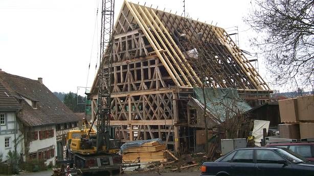 Fotoquelle: Copyright Rottweiler Bilder