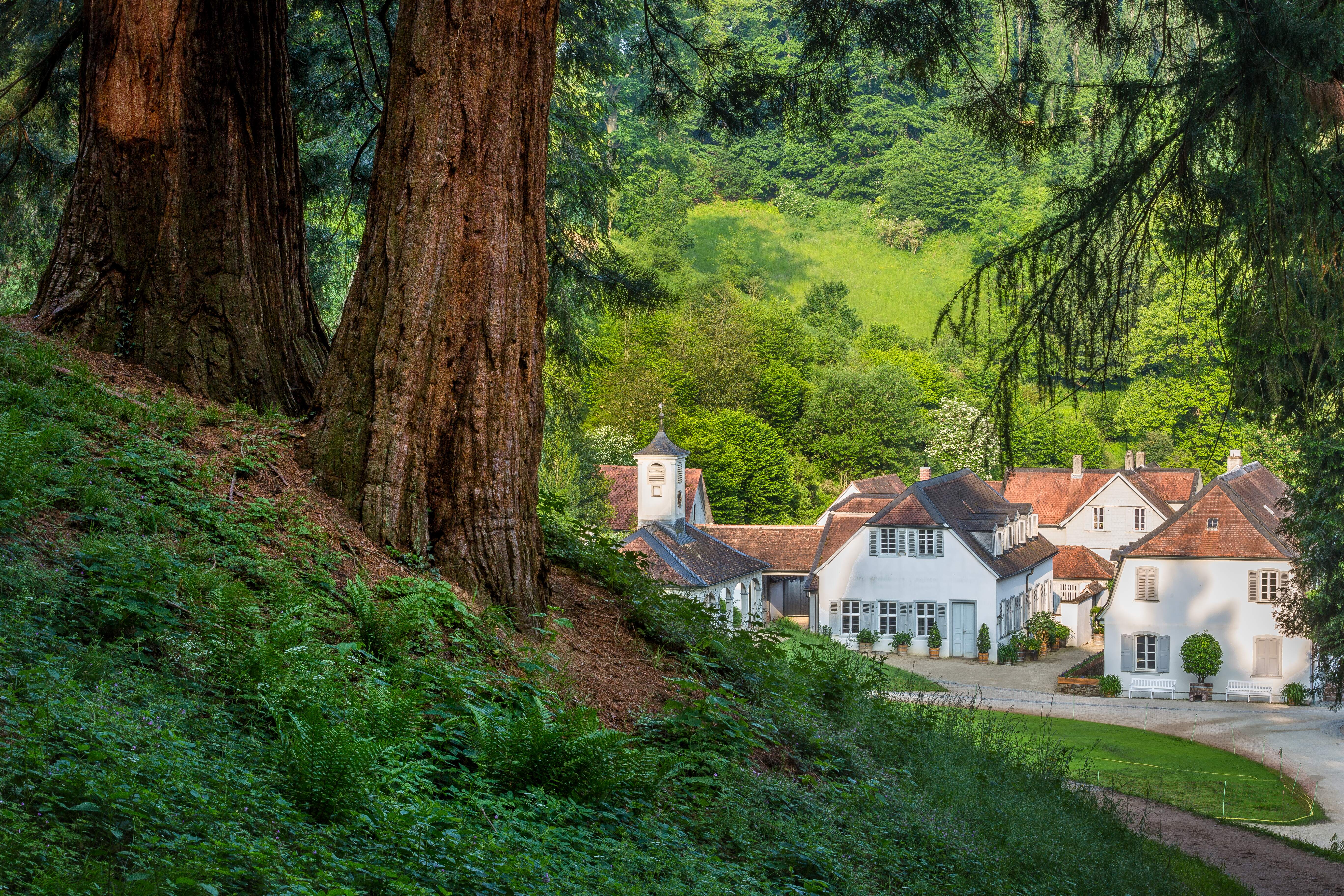 Fotoquelle: Michael Leukel