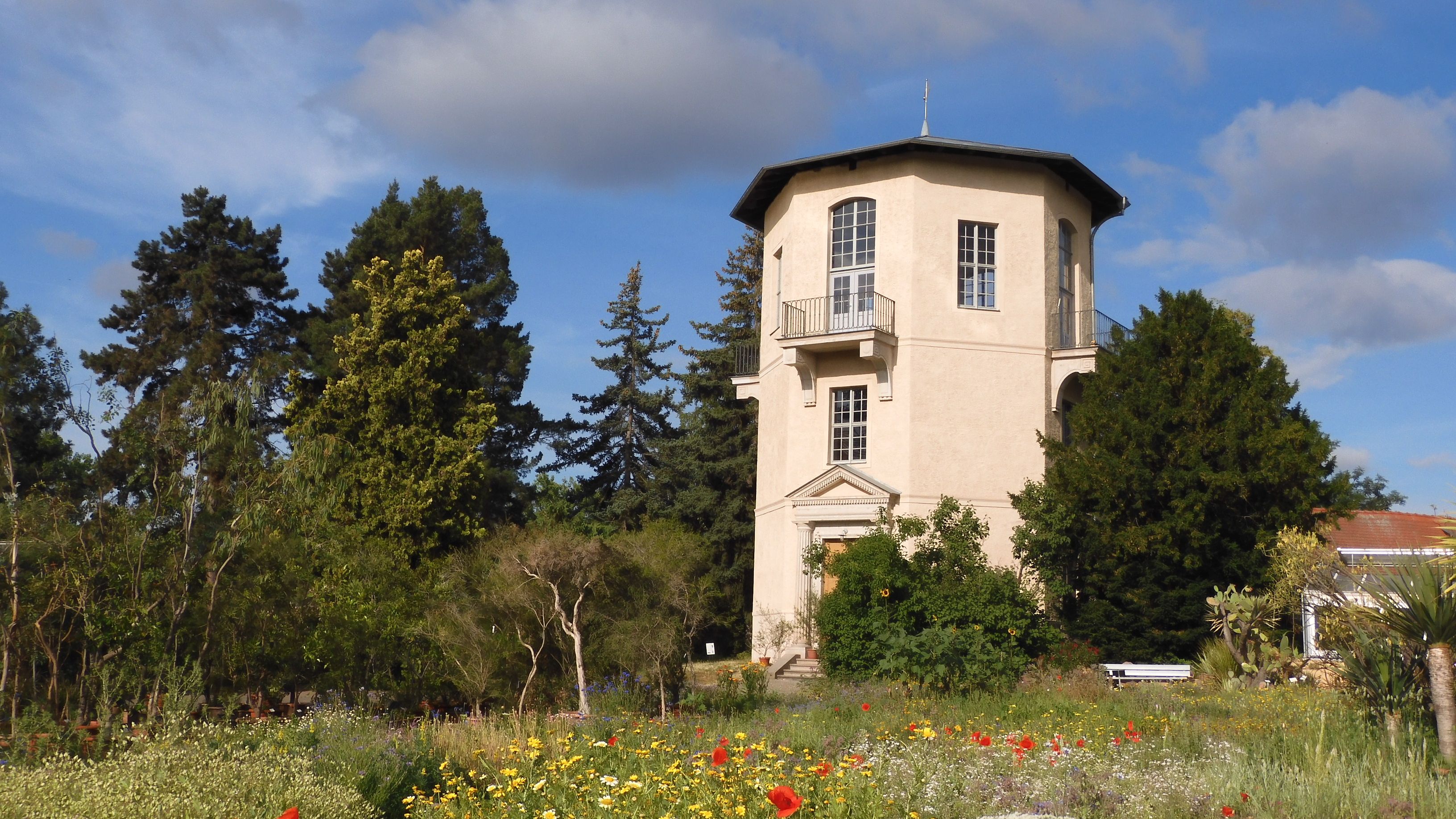 Fotoquelle: Matthias H. Hoffmann