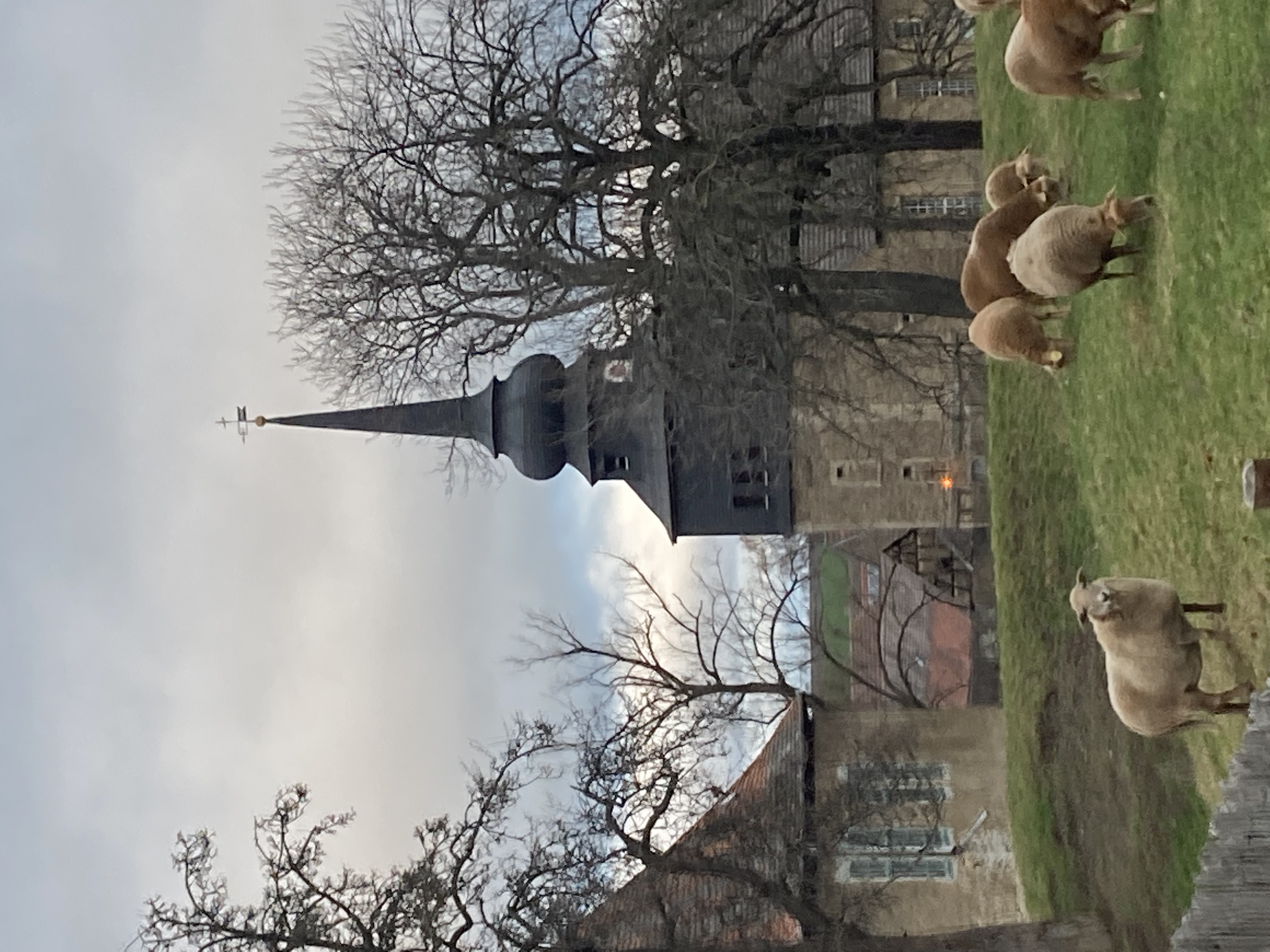 Fotoquelle: Uta Gunstheimer