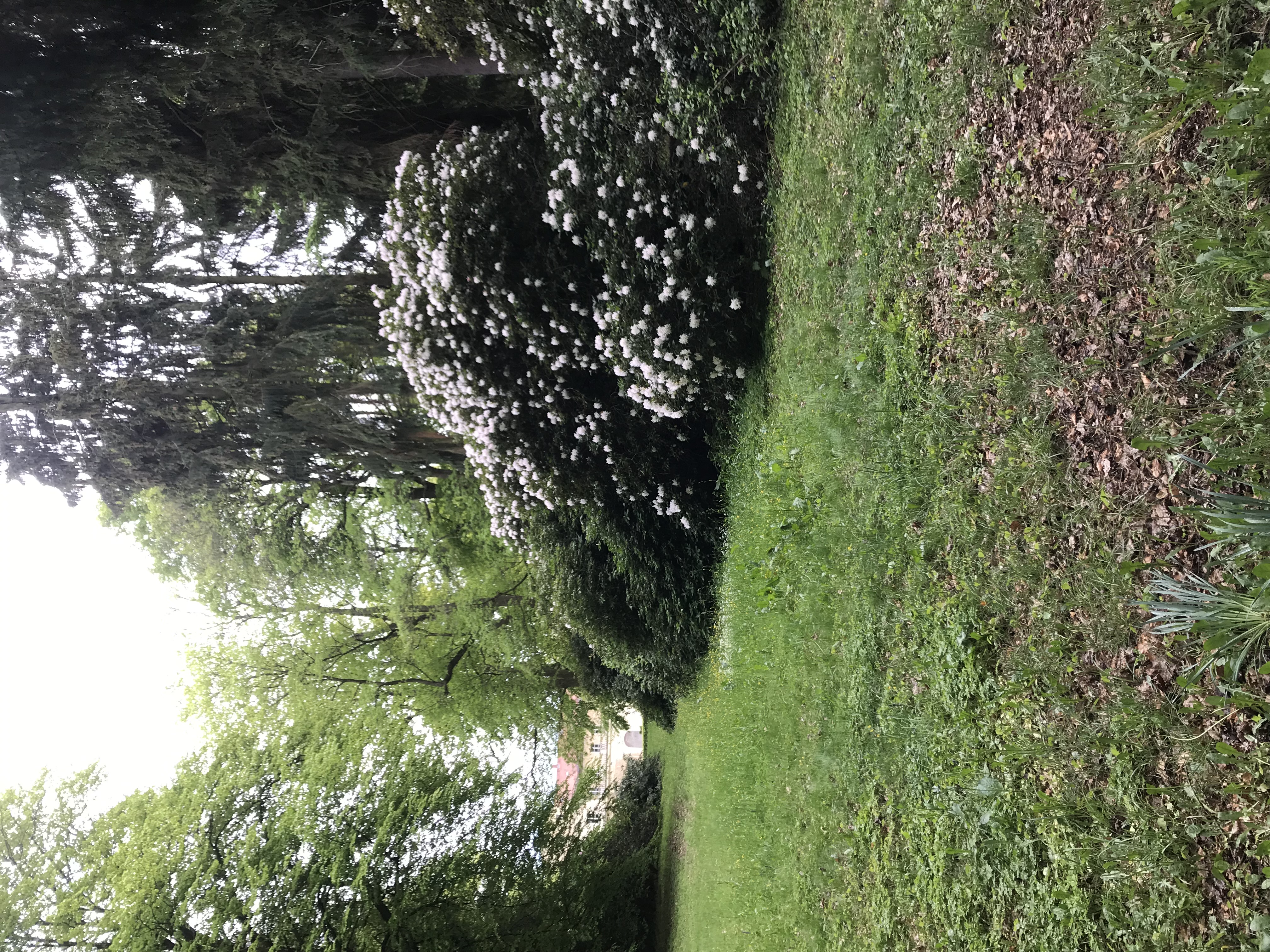 Fotoquelle: Fotografin Jana Borath