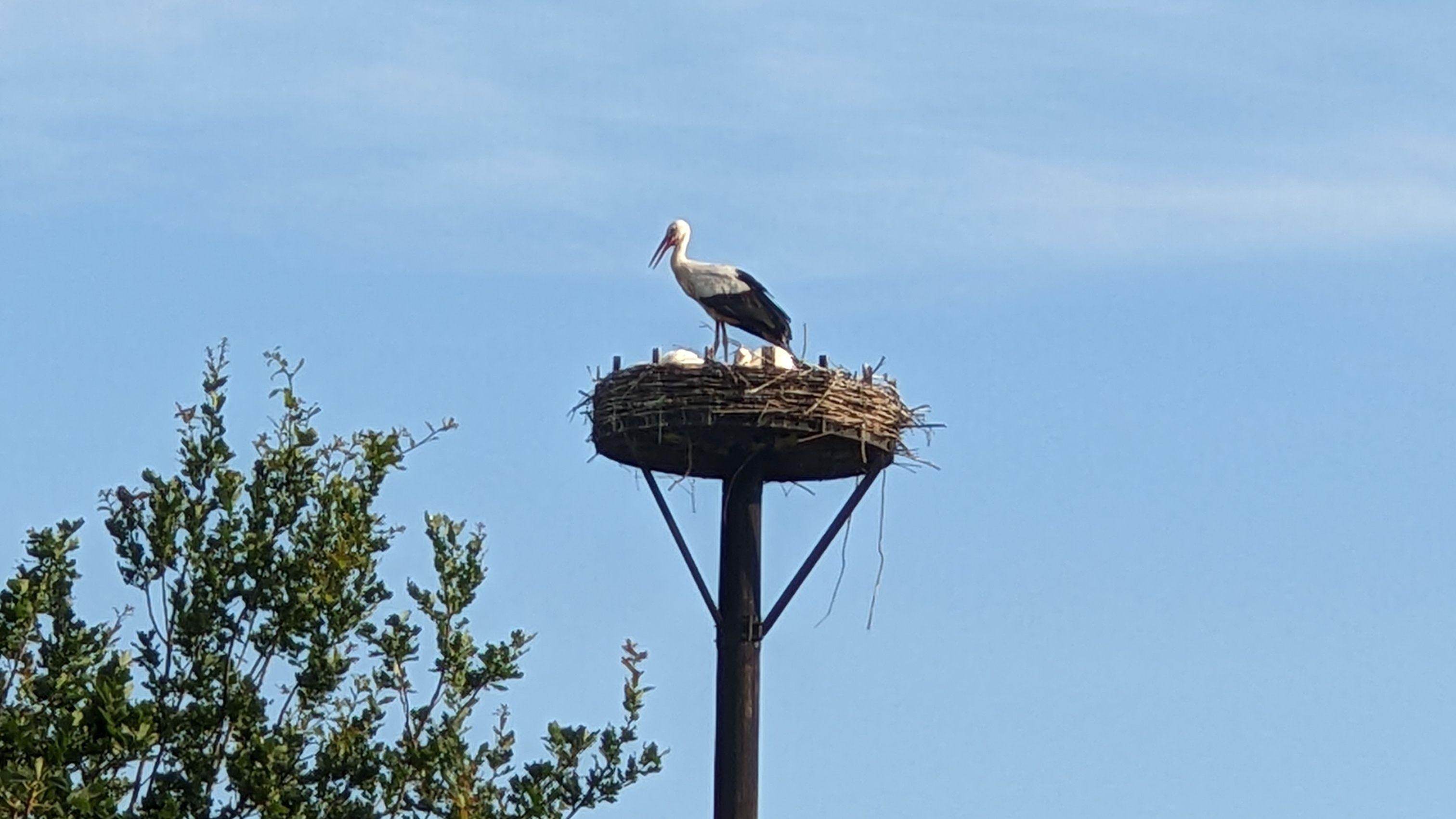Fotoquelle: Holger Ziehm