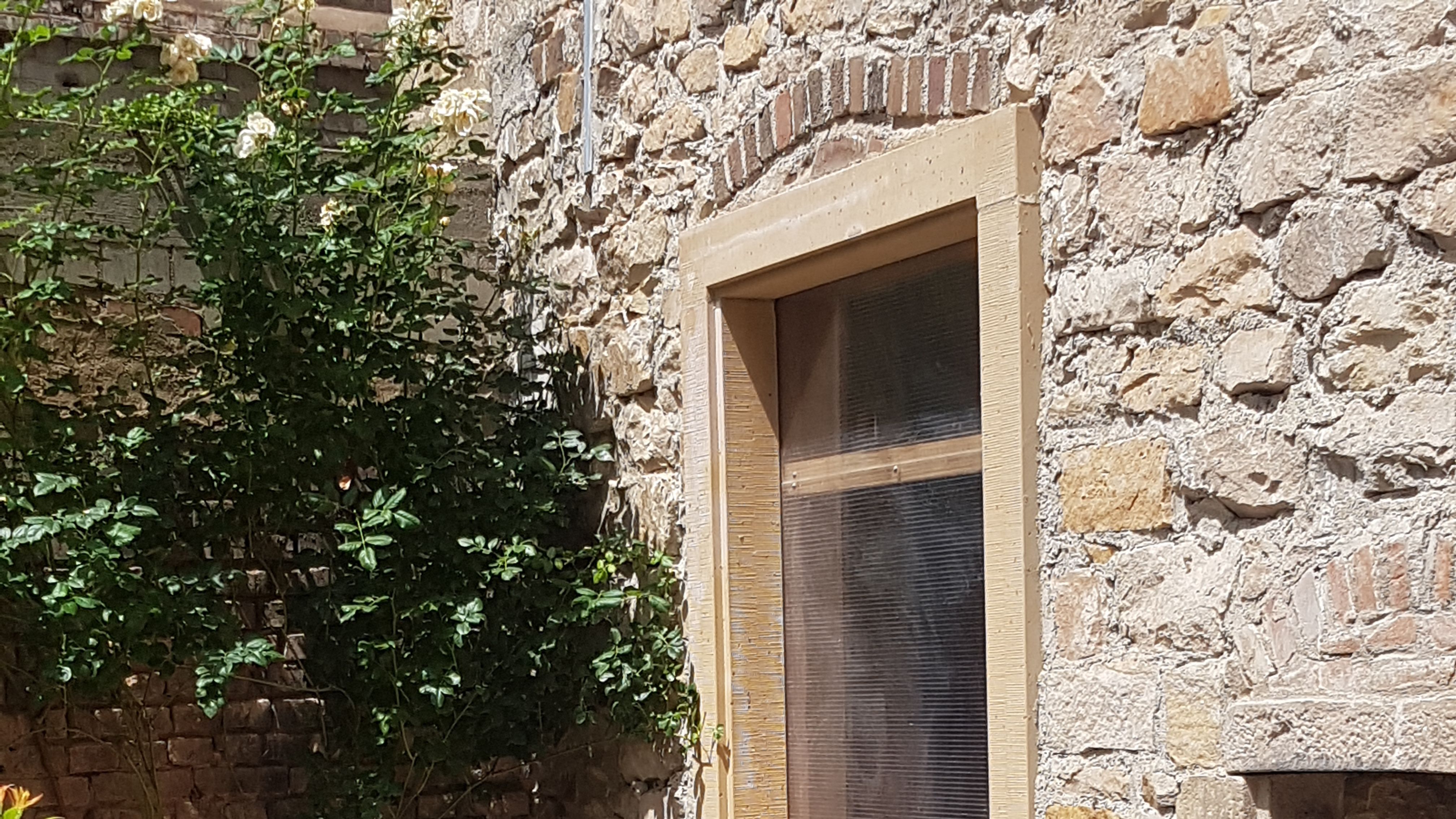 Fotoquelle: Waltraud Kappes